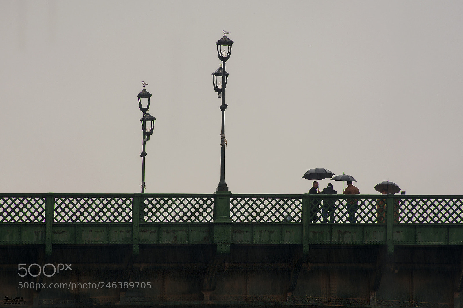 Nikon D7100 sample photo. Under the rain photography