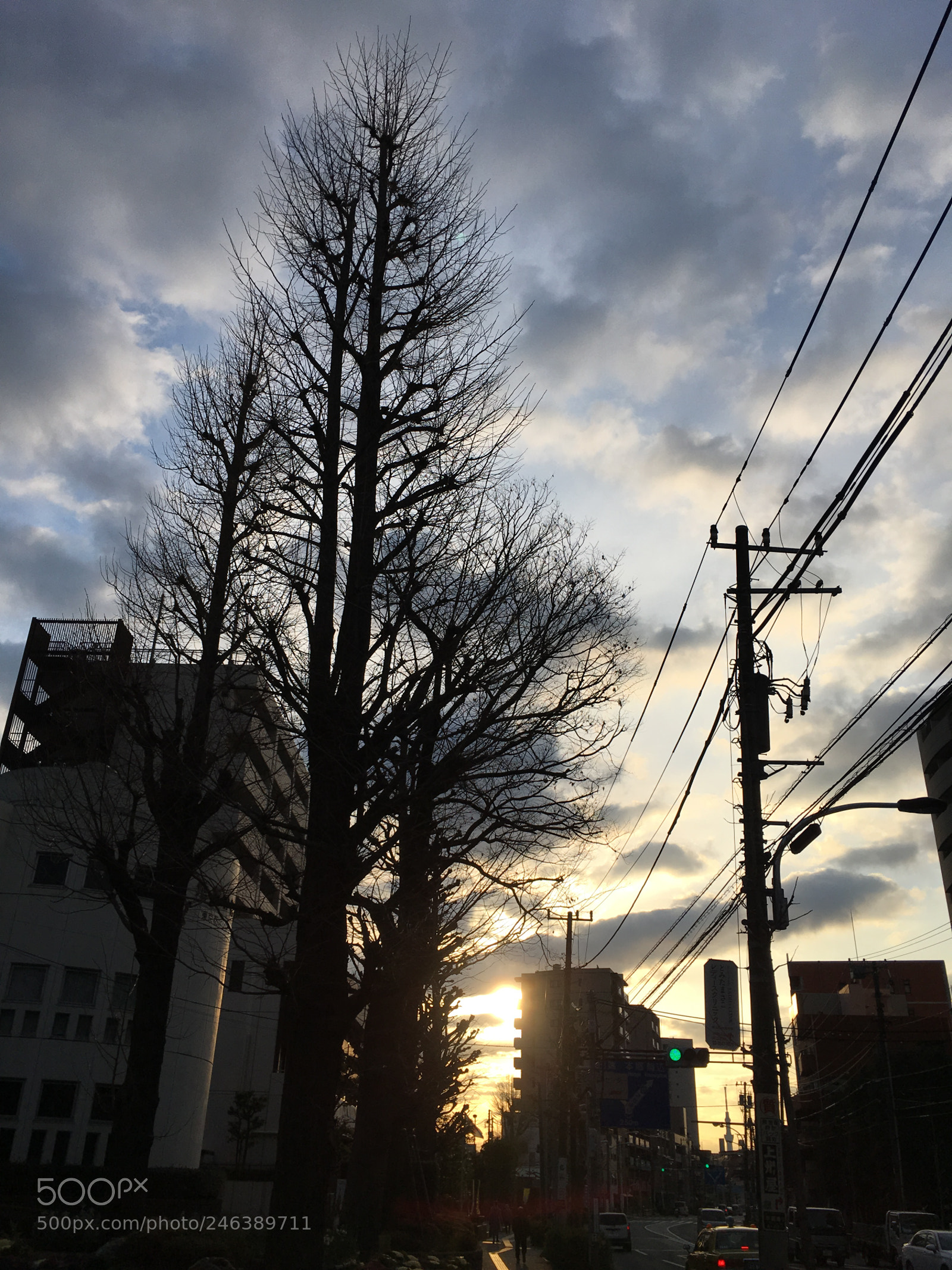 Apple iPhone 6s Plus sample photo. Winter2018 morning sky photography