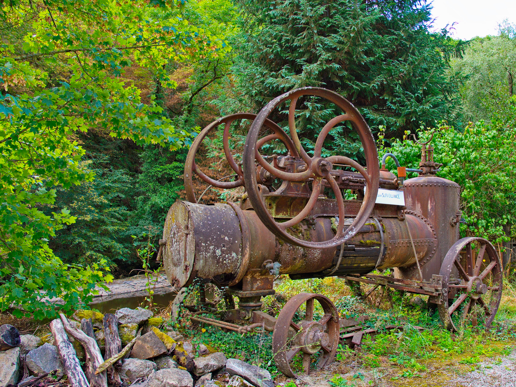 Panasonic Lumix DMC-GX8 sample photo. From the past photography