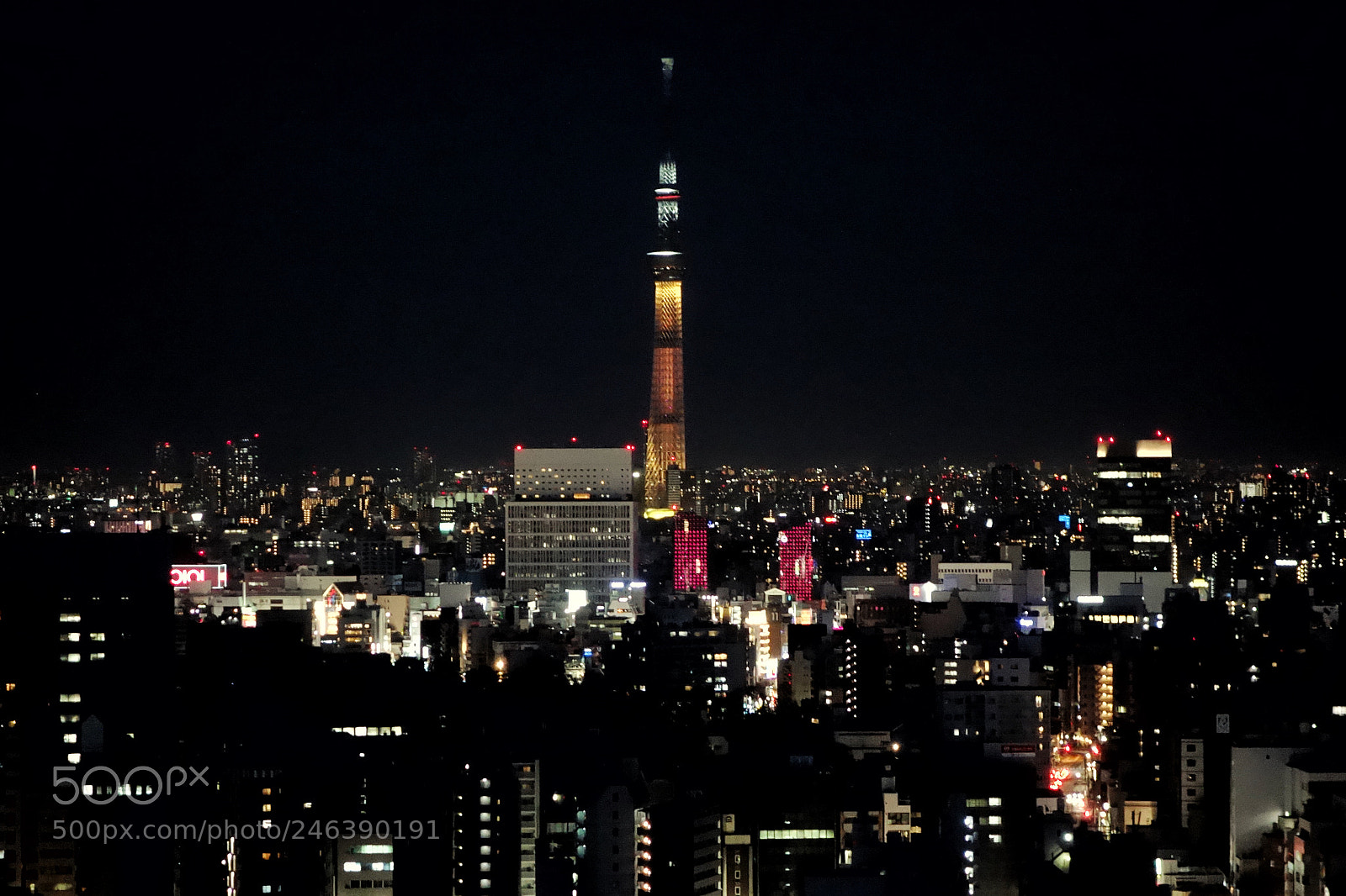 Sony Cyber-shot DSC-RX100 sample photo. Tokyo sky tree photography