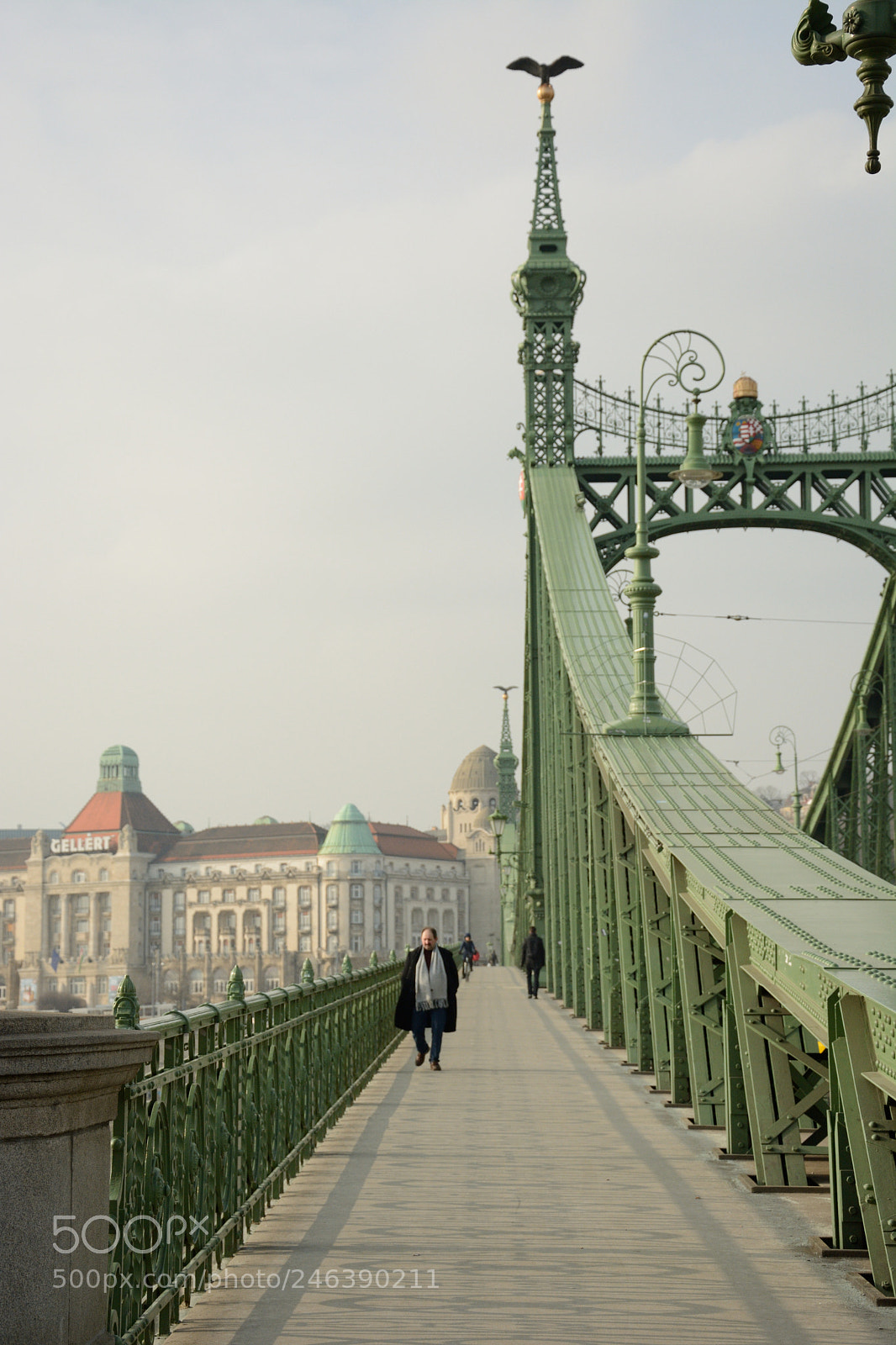Nikon D5200 sample photo. Bridge photography