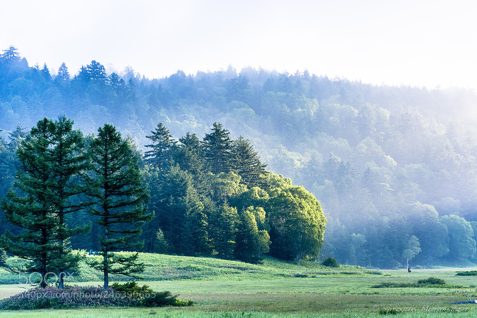 Nikon D7100 sample photo. 2016-55.jpg photography