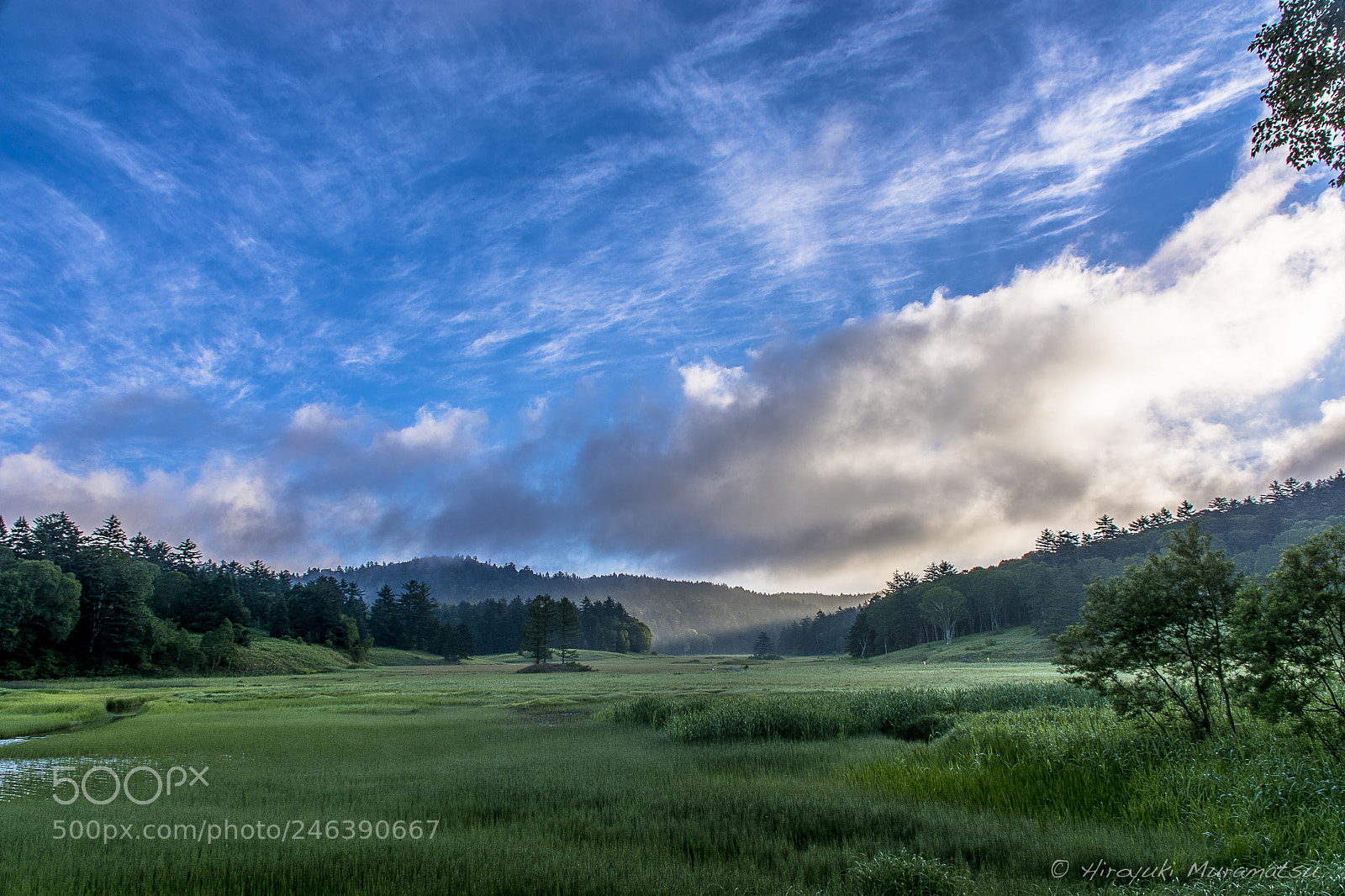 Nikon D7100 sample photo. 2016-265.jpg photography