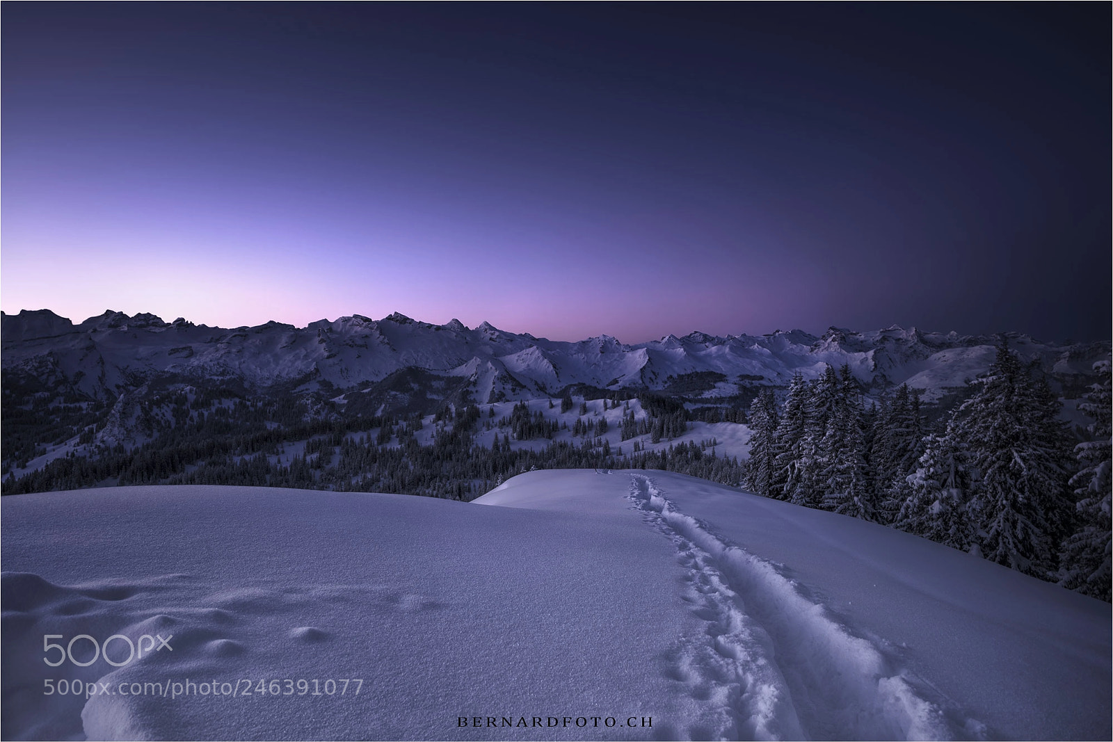 Canon EOS 5DS R sample photo. Cold winter time photography