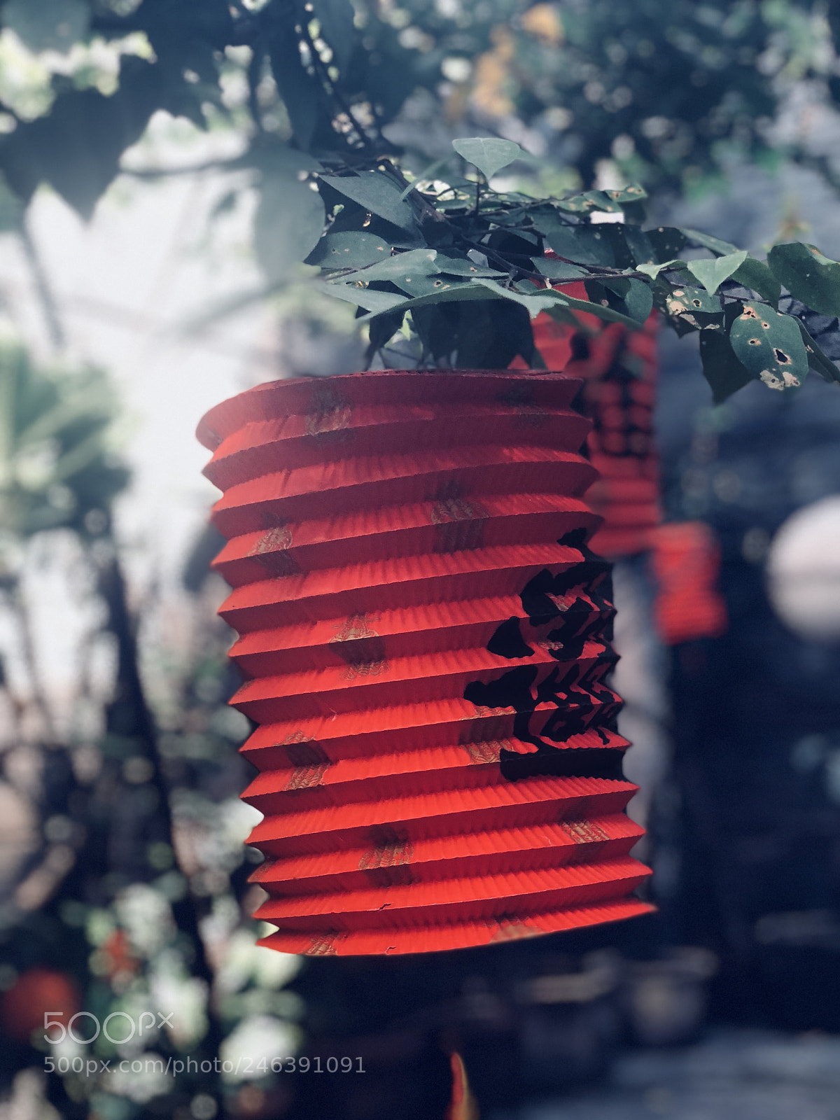 Apple iPhone X sample photo. Untitled photography