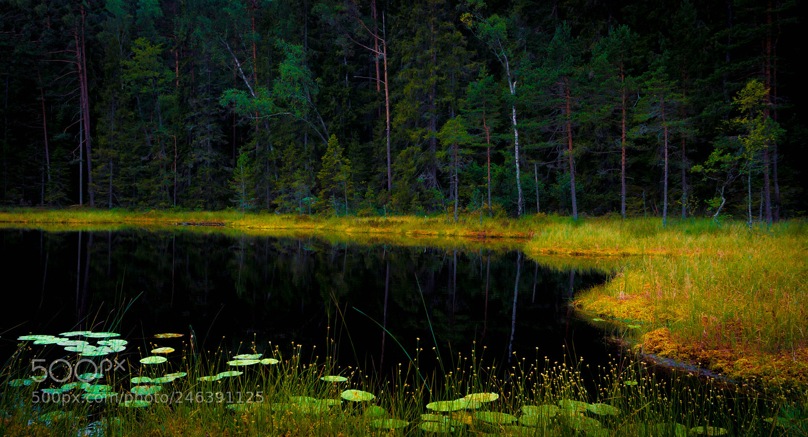 Sony a5100 sample photo. Dark lake photography