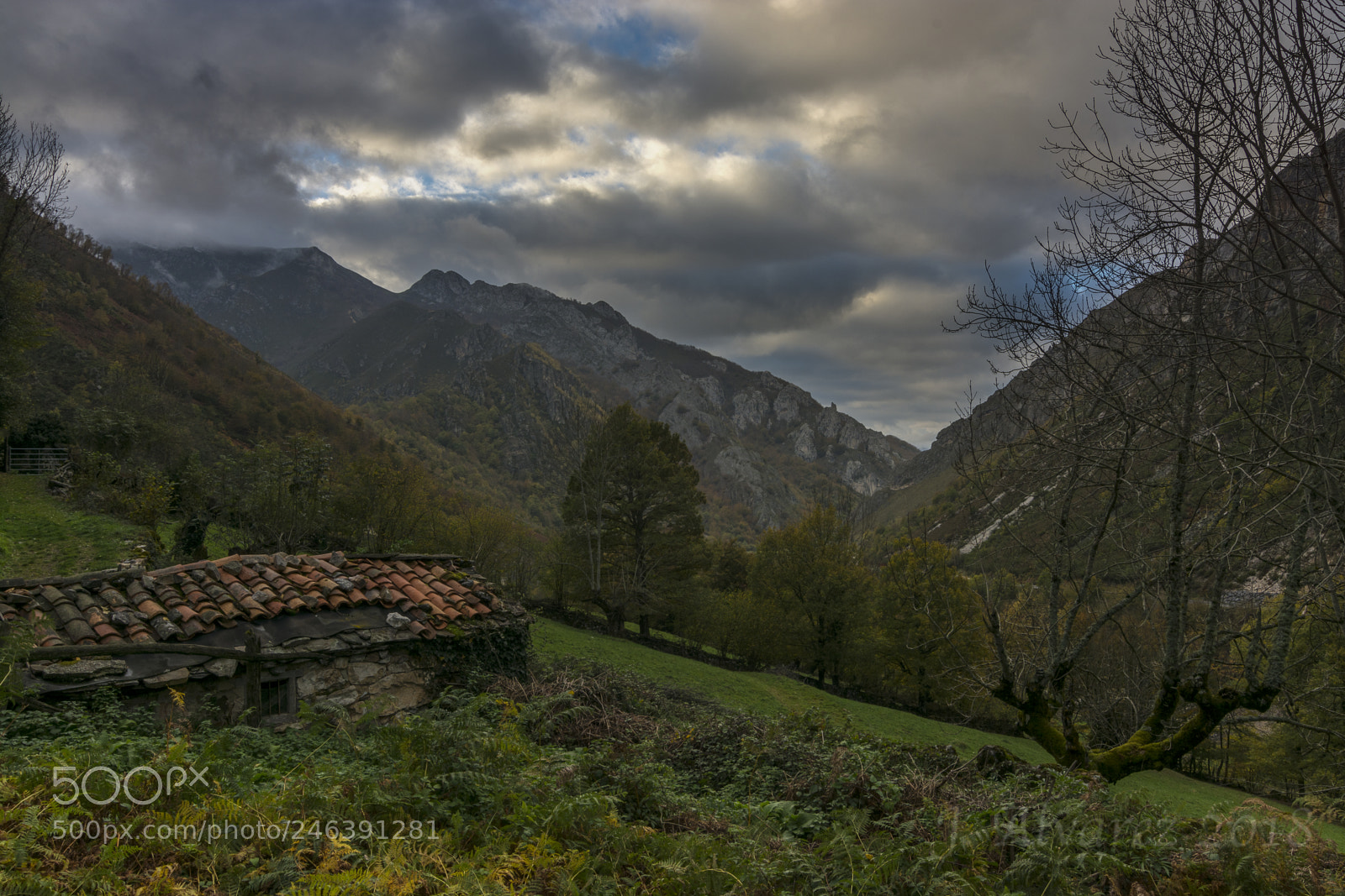 Nikon D7100 sample photo. Aller photography