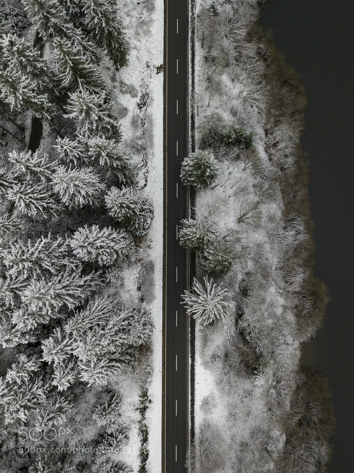 DJI FC220 sample photo. Winter road photography