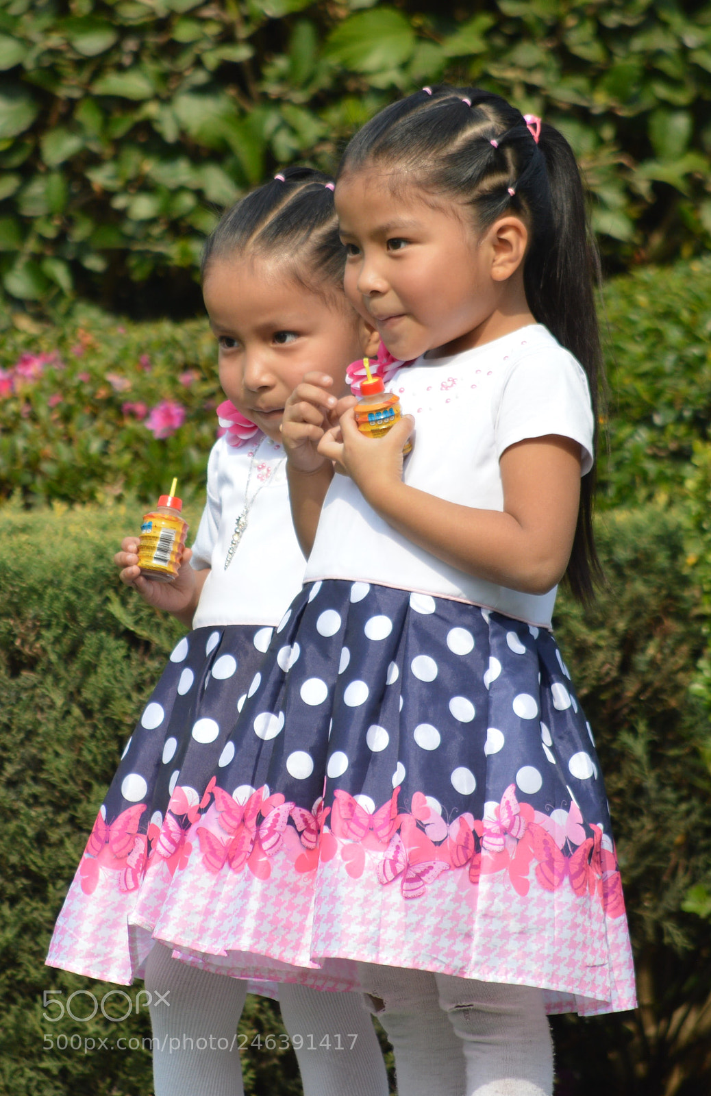 Nikon D3200 sample photo. () photography