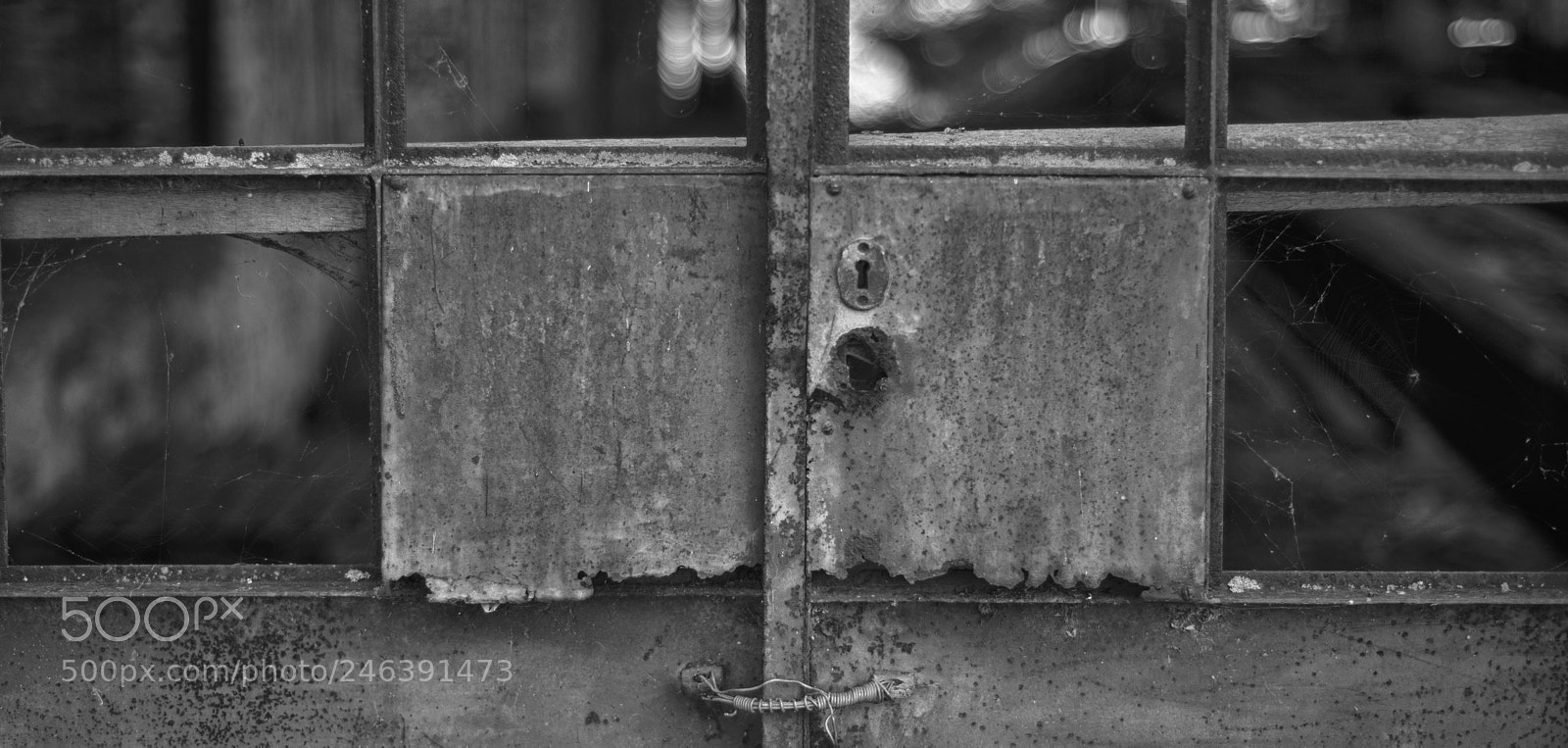 Nikon D610 sample photo. The older locker photography