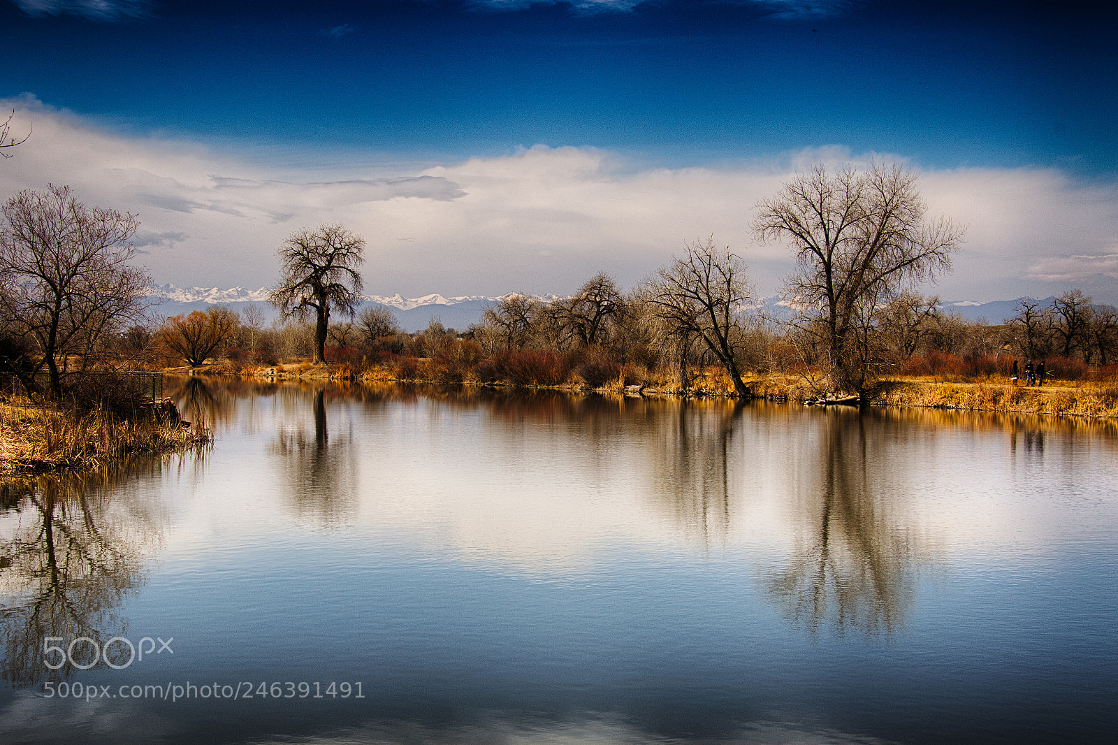 Canon EOS 7D Mark II sample photo. On a fine winters photography
