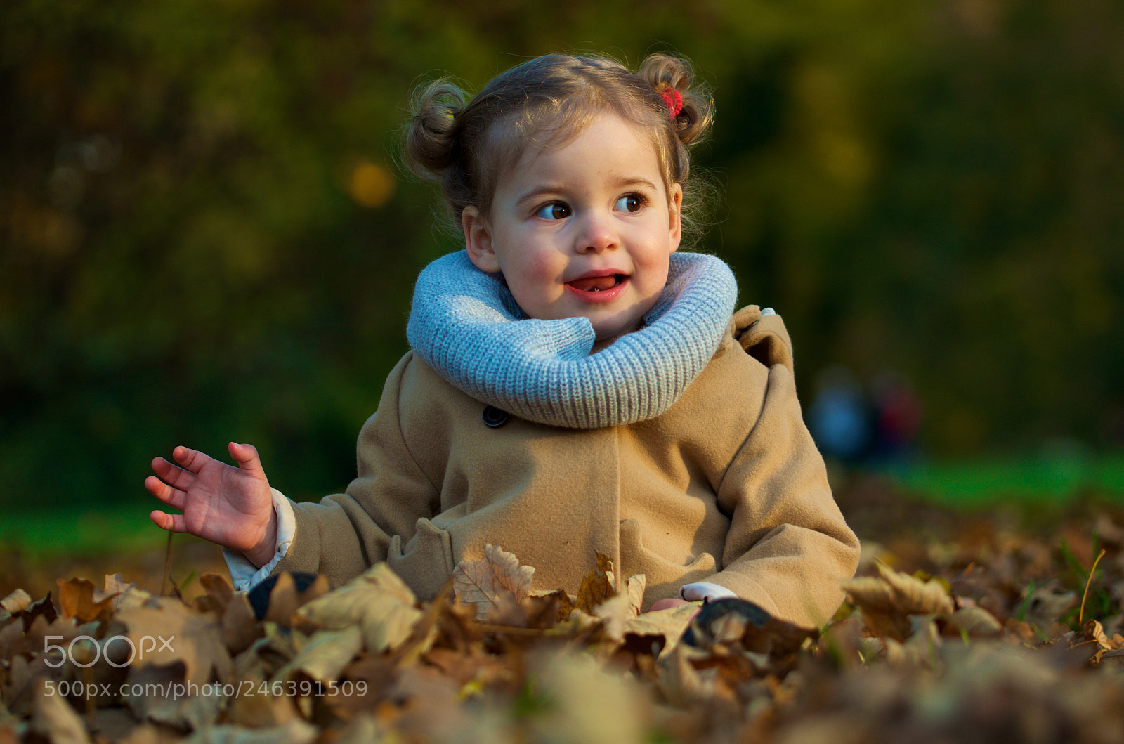 Nikon D5100 sample photo. Autumn pictures photography