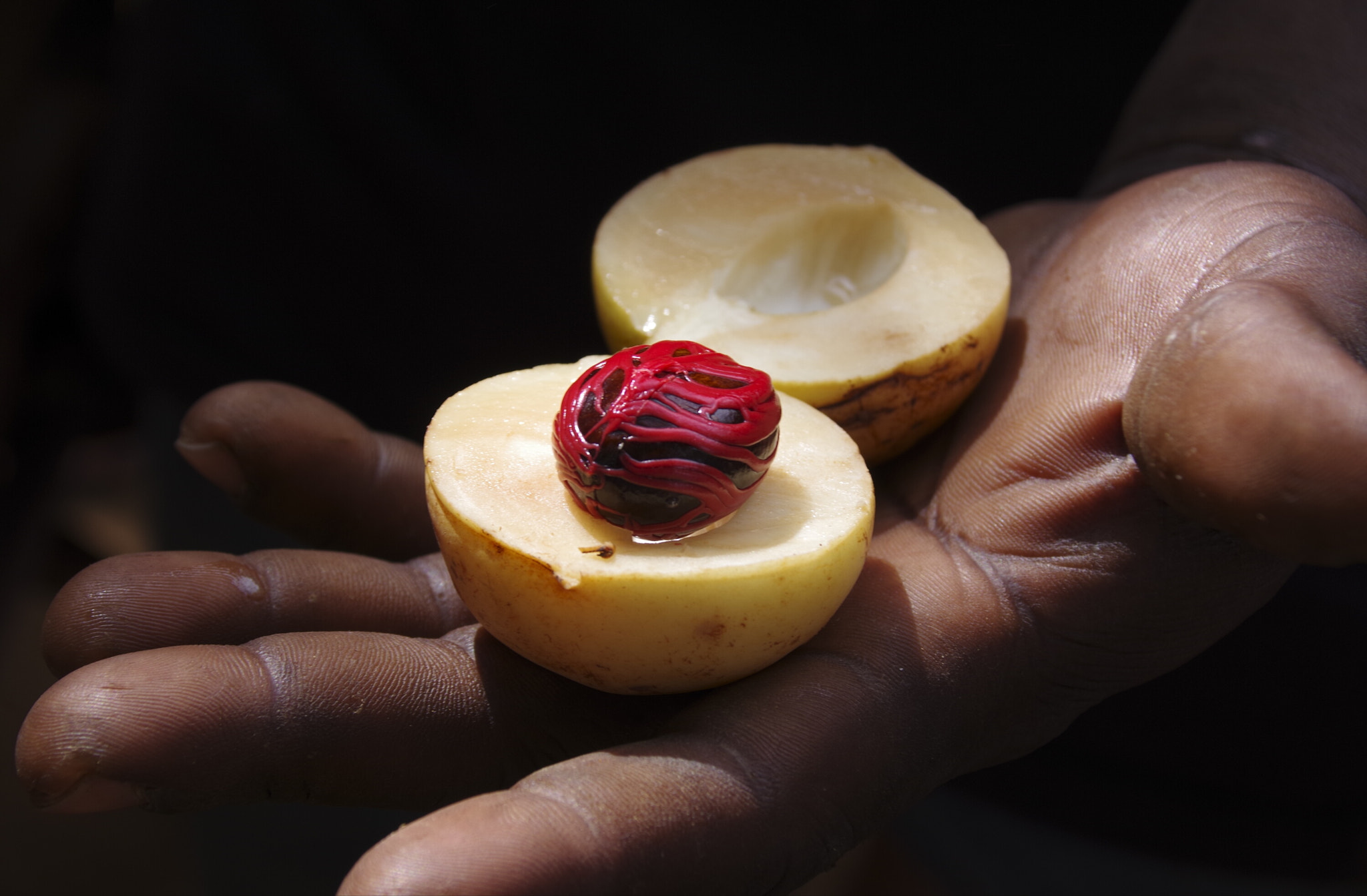 Pentax K-70 sample photo. Nutmeg and flover photography