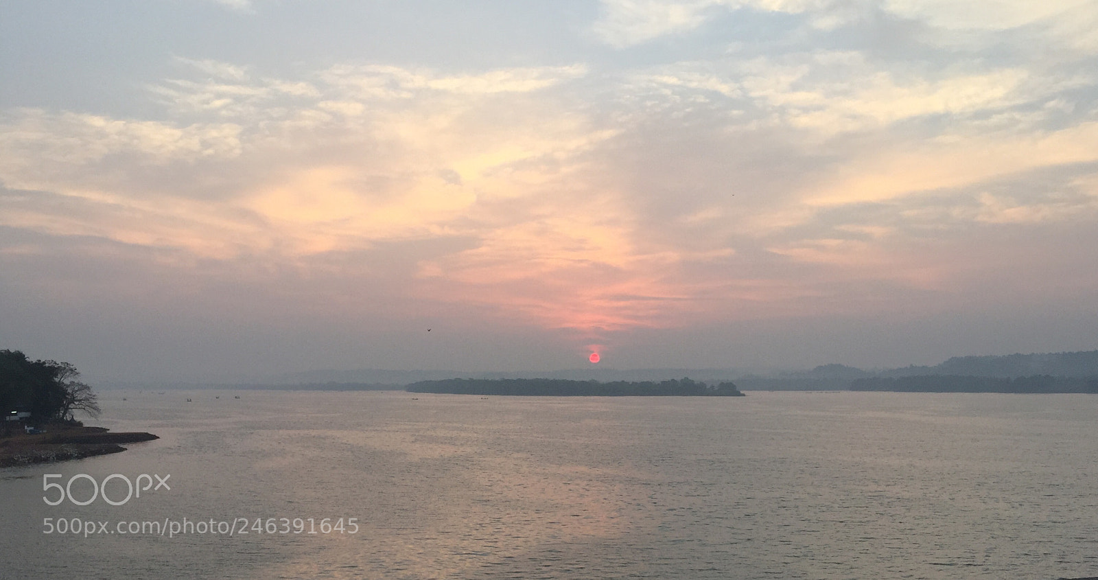 Apple iPhone 6 sample photo. Untitled photography
