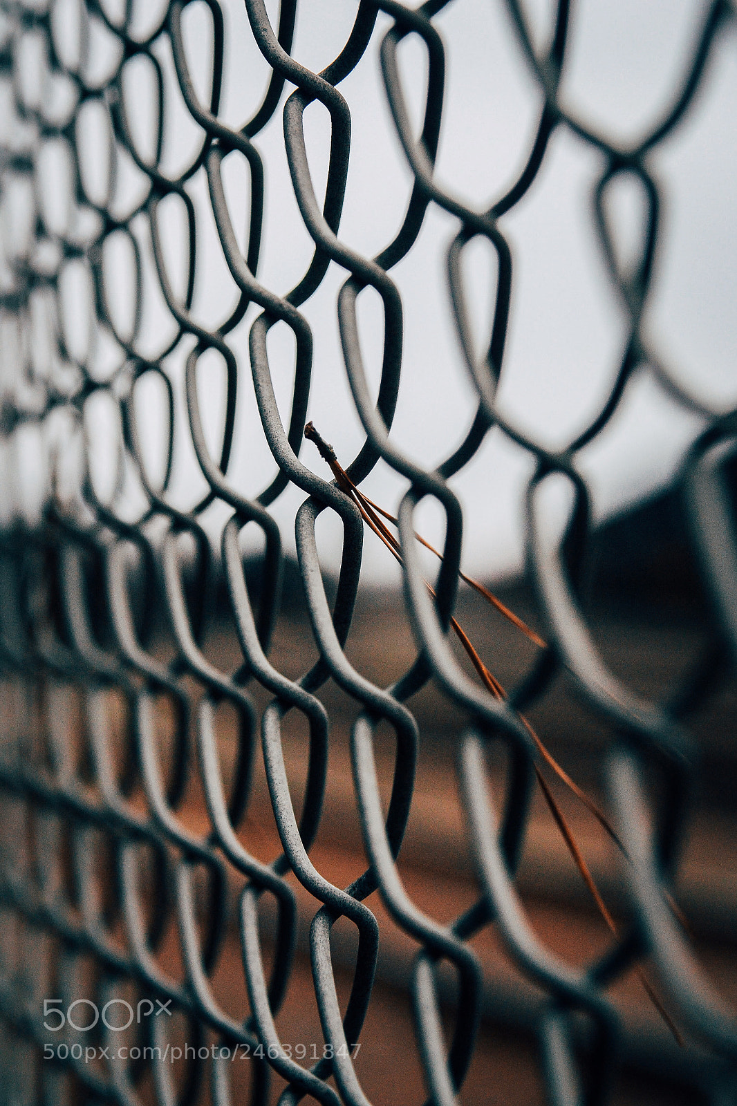Nikon D3100 sample photo. Trapped in steel. photography