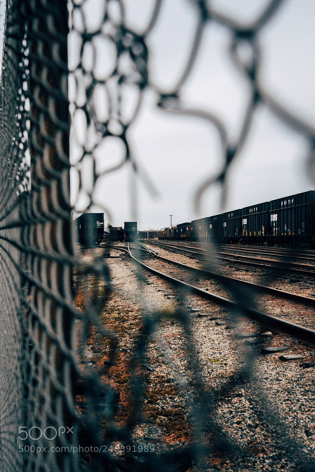Nikon D3100 sample photo. Railroads. photography