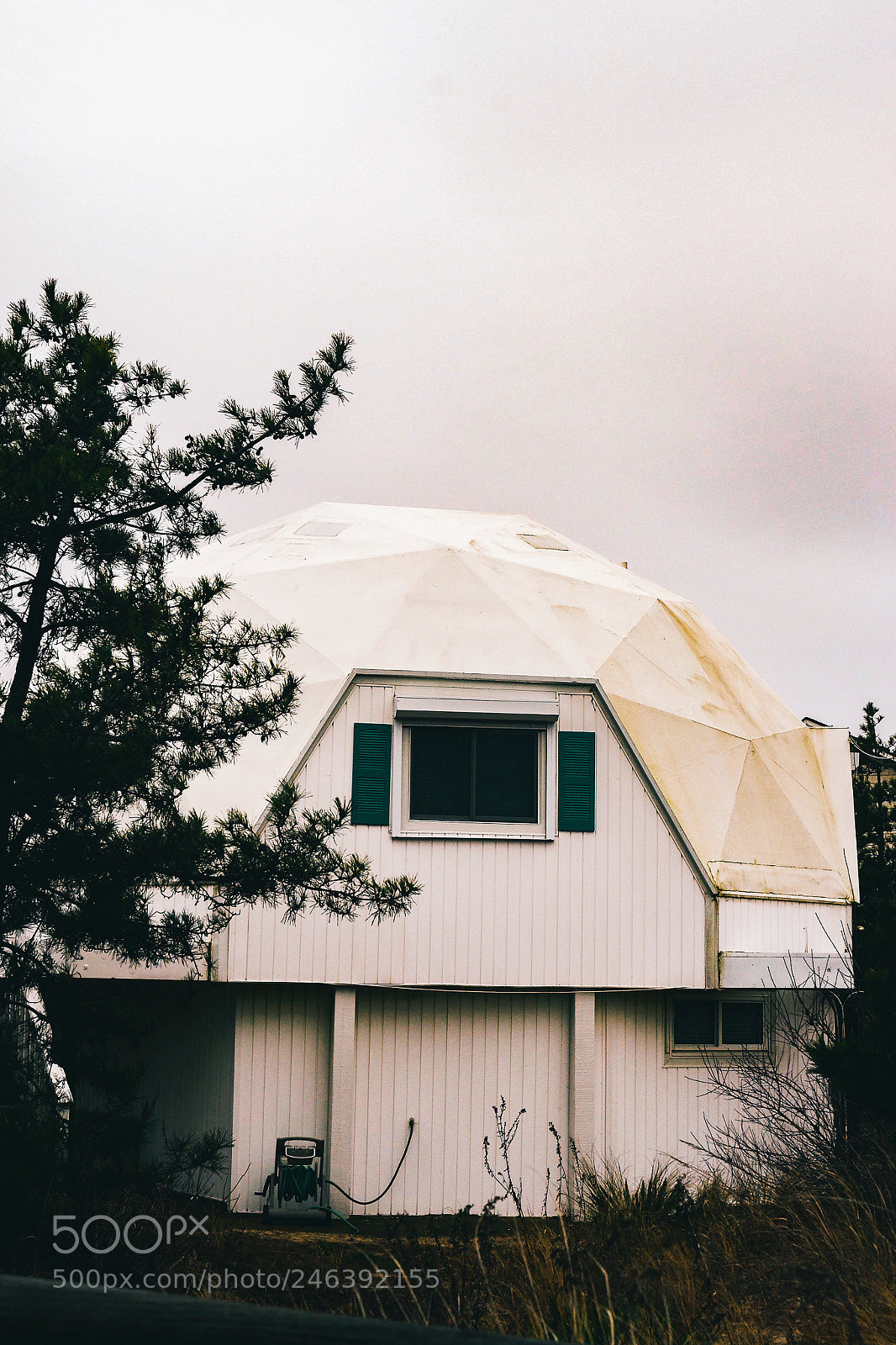 Nikon D3100 sample photo. Untitled photography
