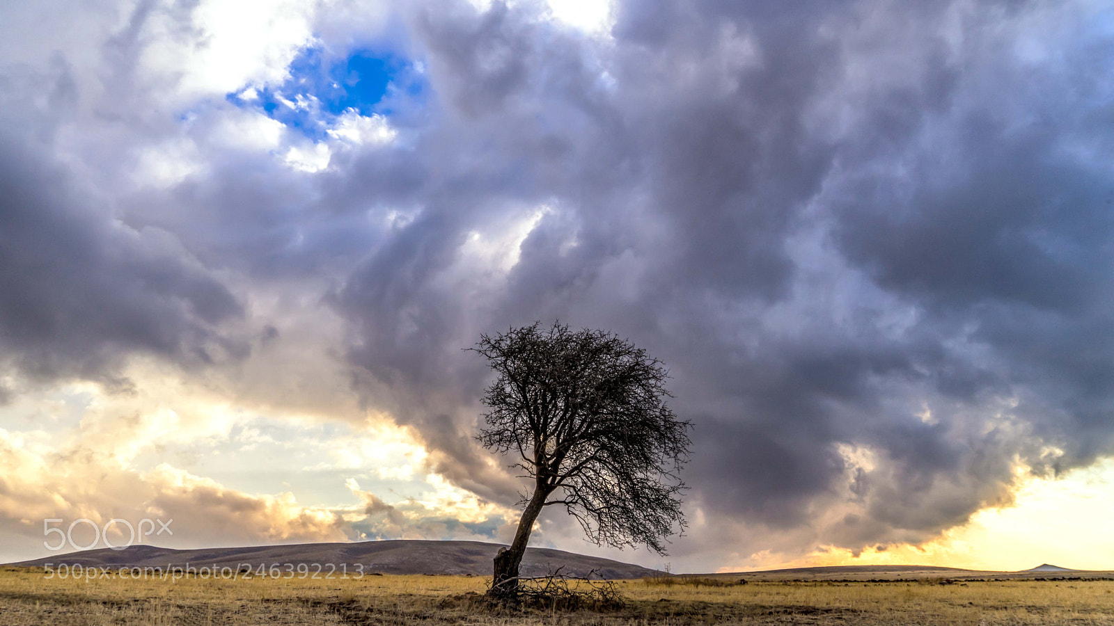 Sony a7 II sample photo. Spring or global warming!!! photography