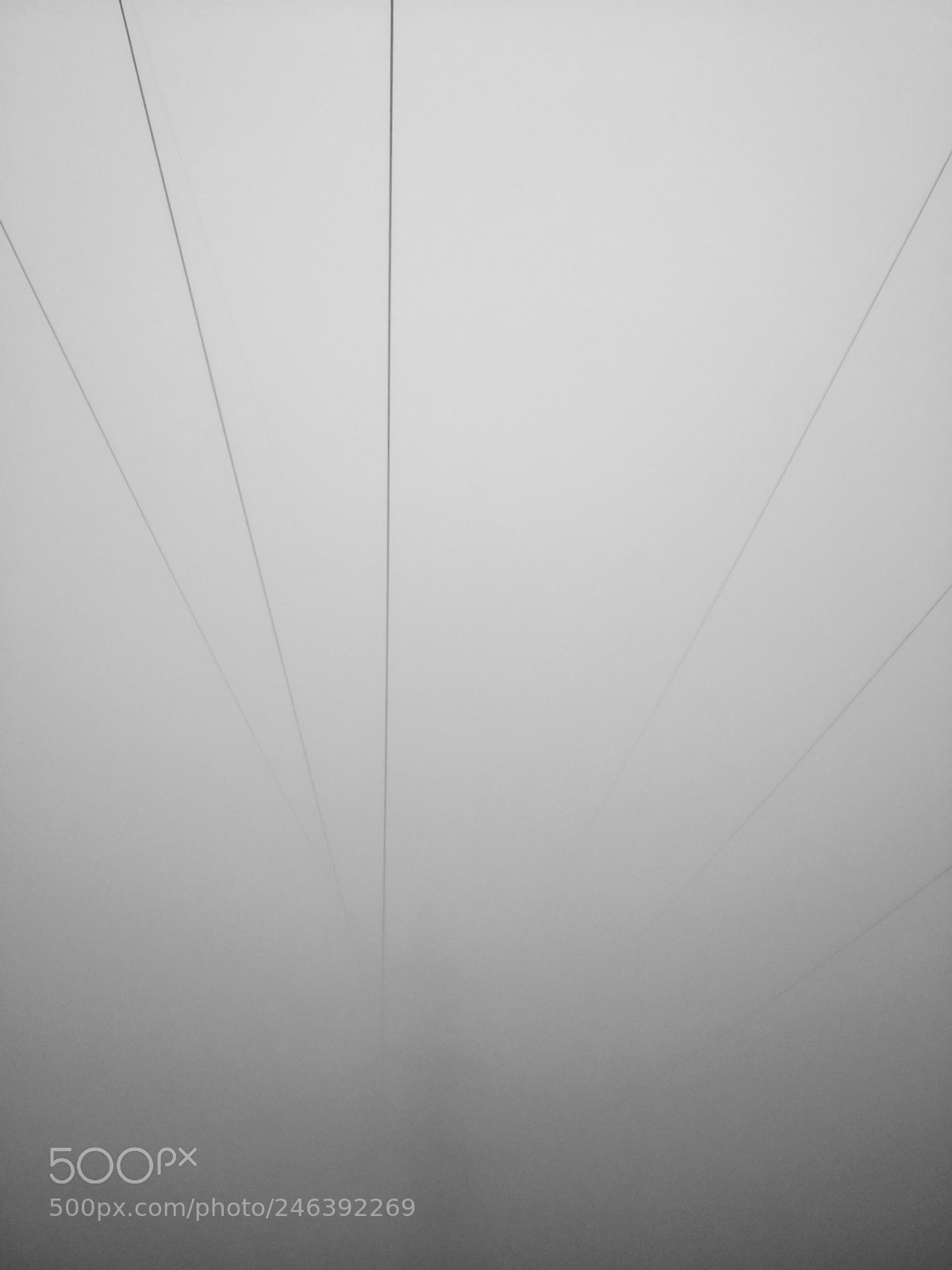 HUAWEI Mate 10 sample photo. Into the fog photography