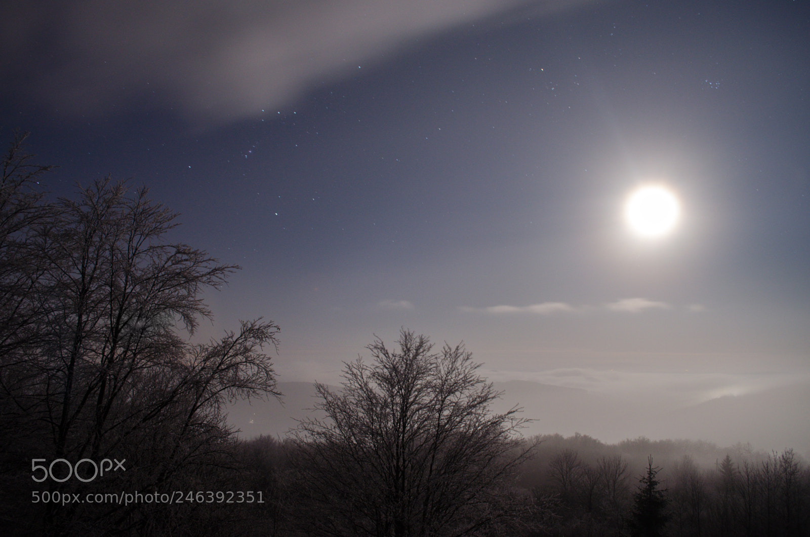 Nikon D5100 sample photo. Moonlight photography