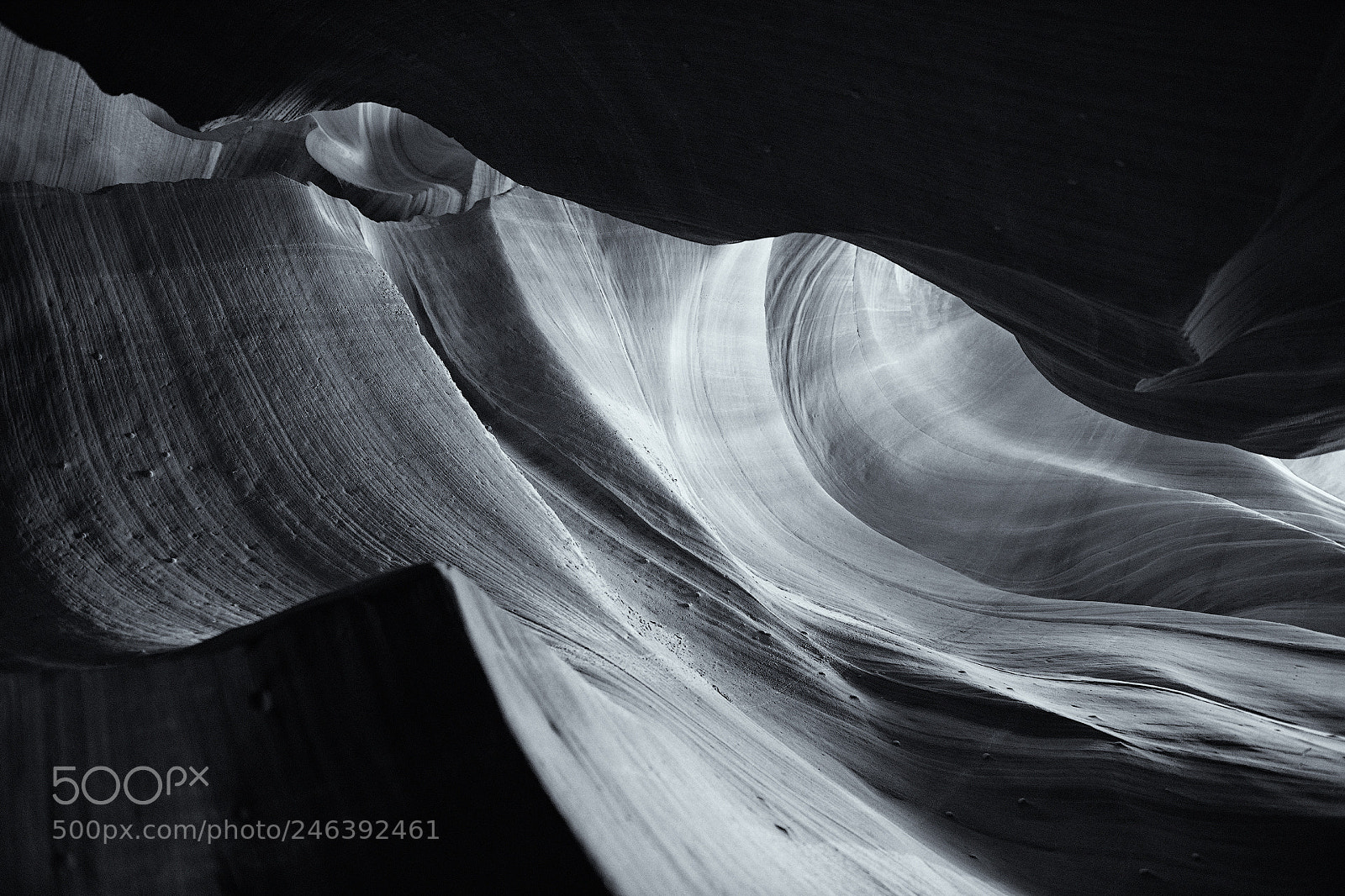 Nikon D850 sample photo. Canyon antilopa photography