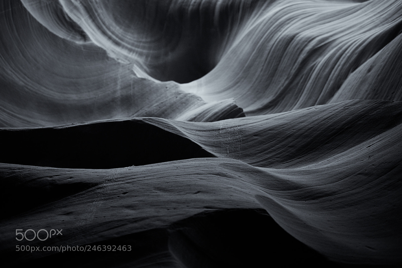 Nikon D850 sample photo. Canyon antilopa photography