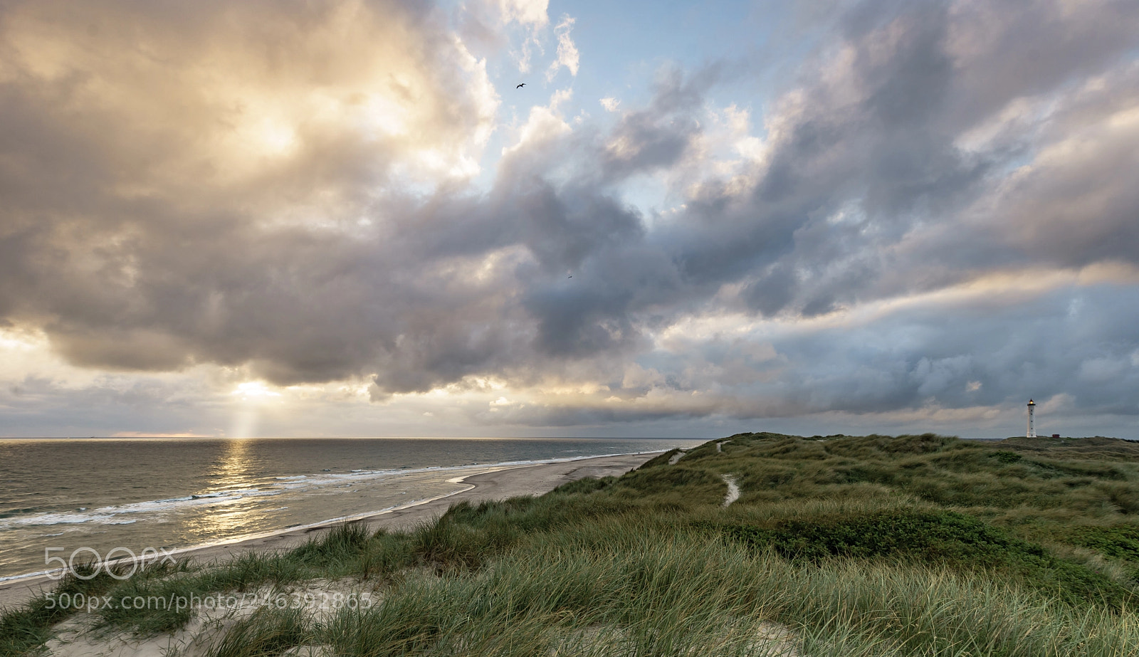 Sony a7 II sample photo. Width photography