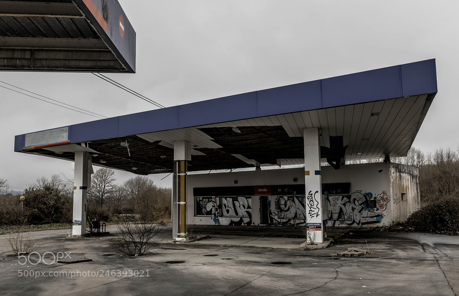 Canon EOS 750D (EOS Rebel T6i / EOS Kiss X8i) sample photo. Solitaire 3 photography