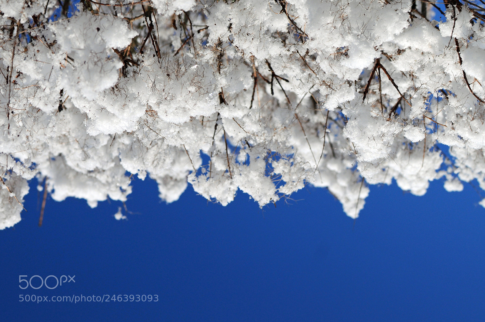 Nikon D5000 sample photo. Bleu et blanc photography
