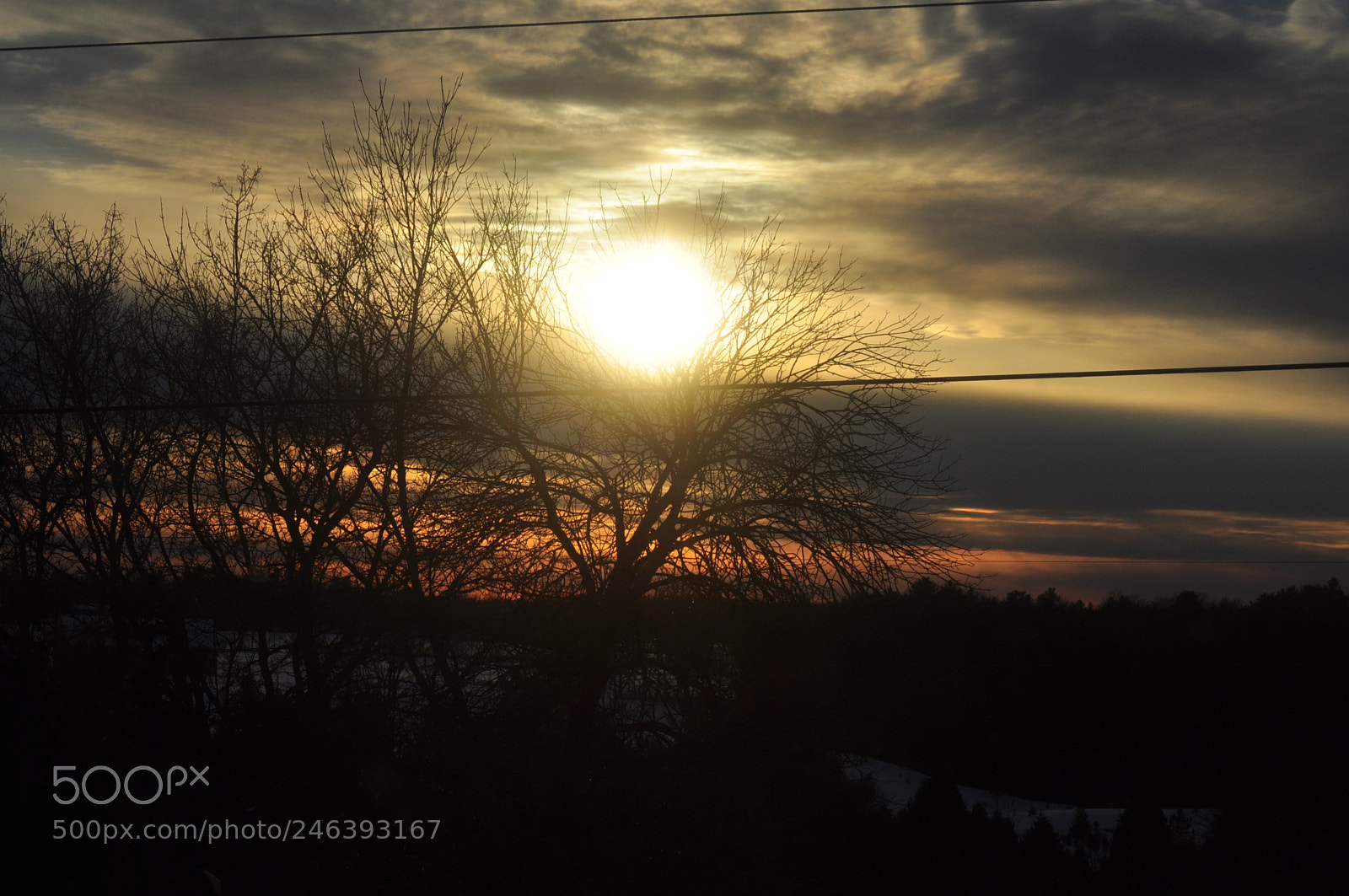 Nikon D5000 sample photo. Sun on a wire photography