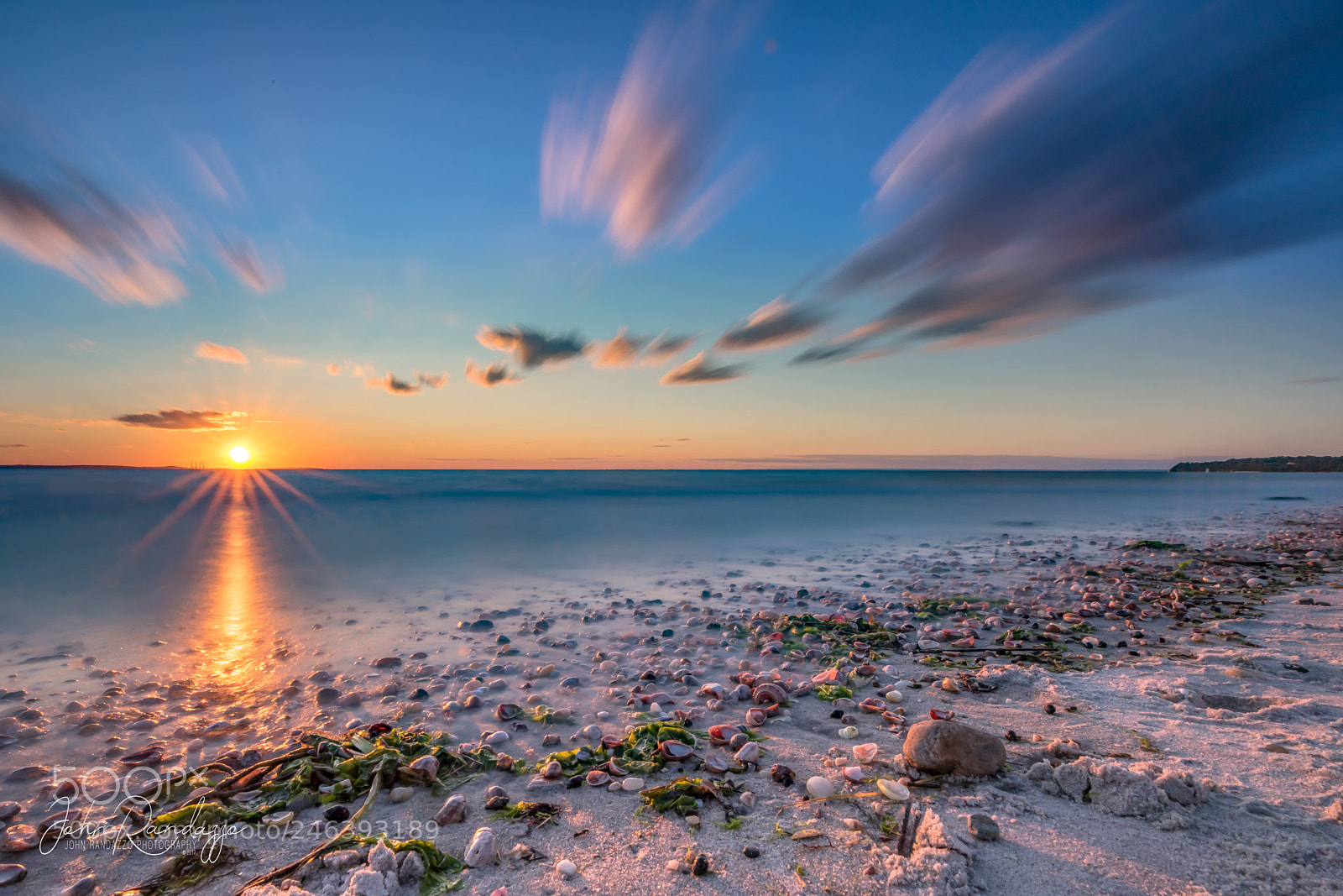 Nikon D810 sample photo. Seashells by the sea photography