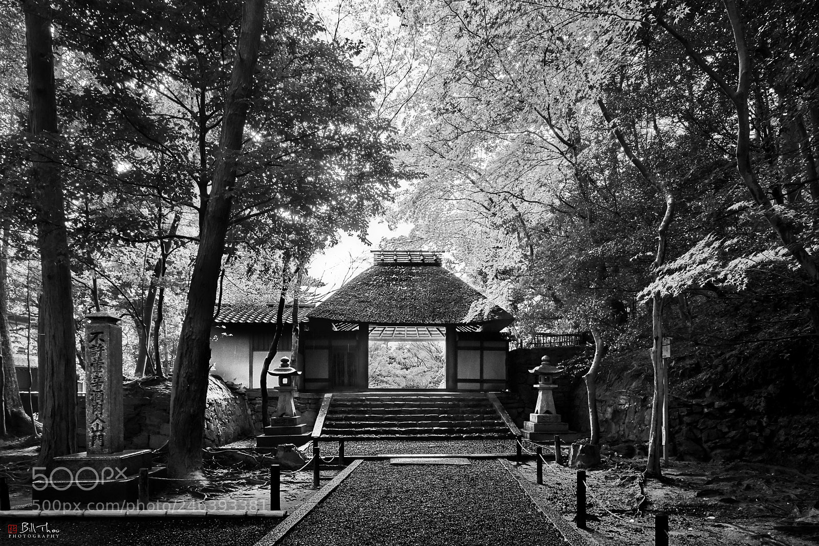 Sony a7R II sample photo. Honen-in temple photography