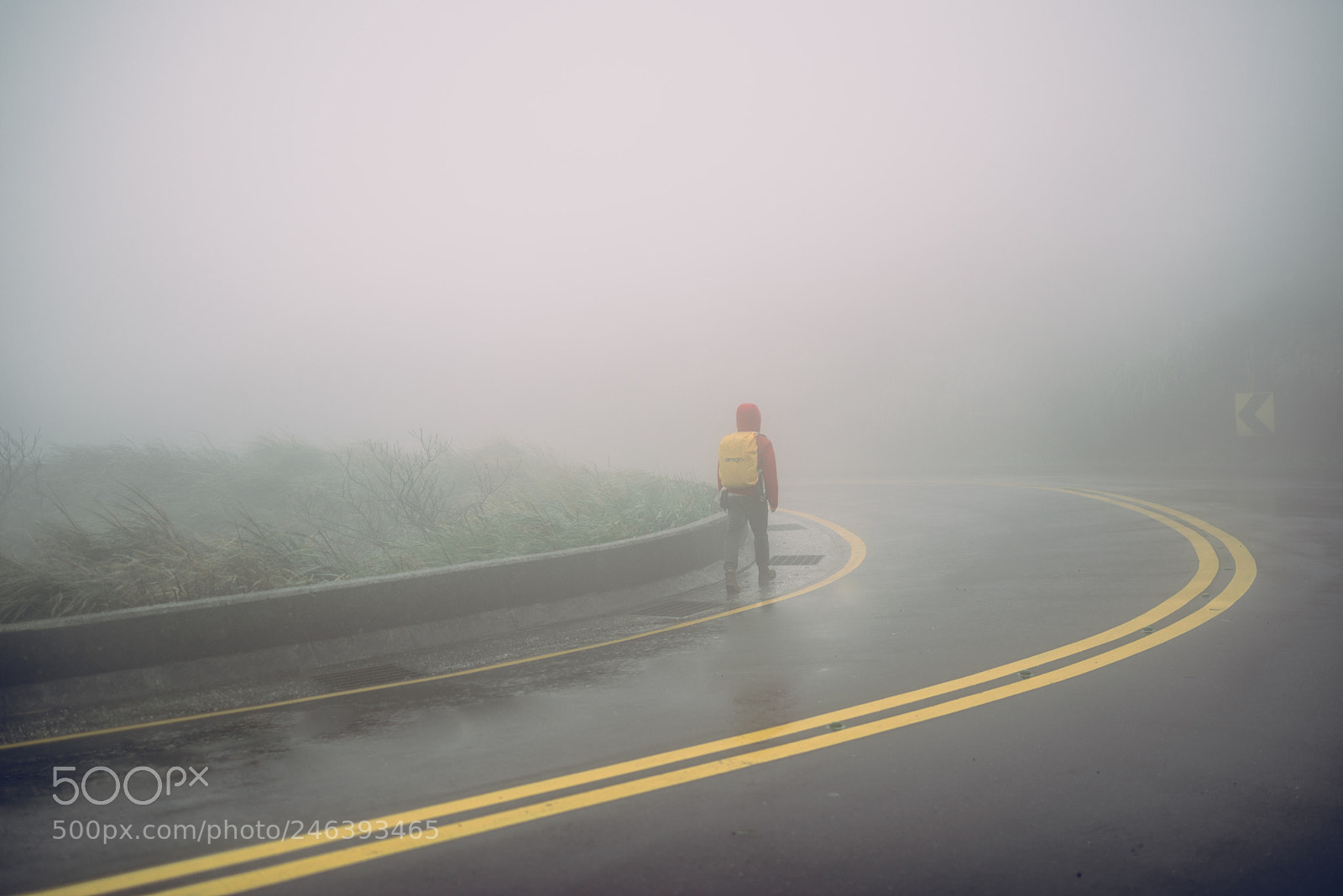 Nikon D610 sample photo. Foggy road photography