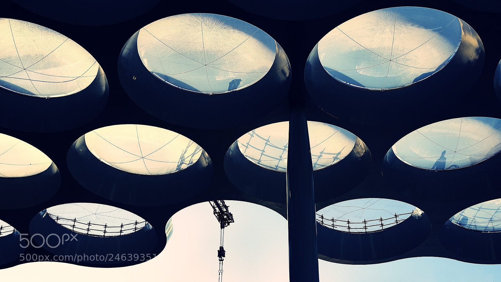 Sony ILCA-77M2 sample photo. Giant roof photography
