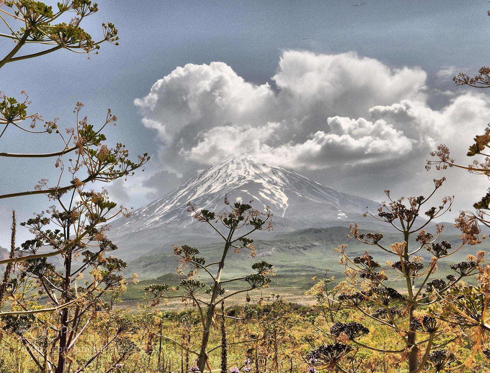 Nikon D90 sample photo. Mount damavand photography
