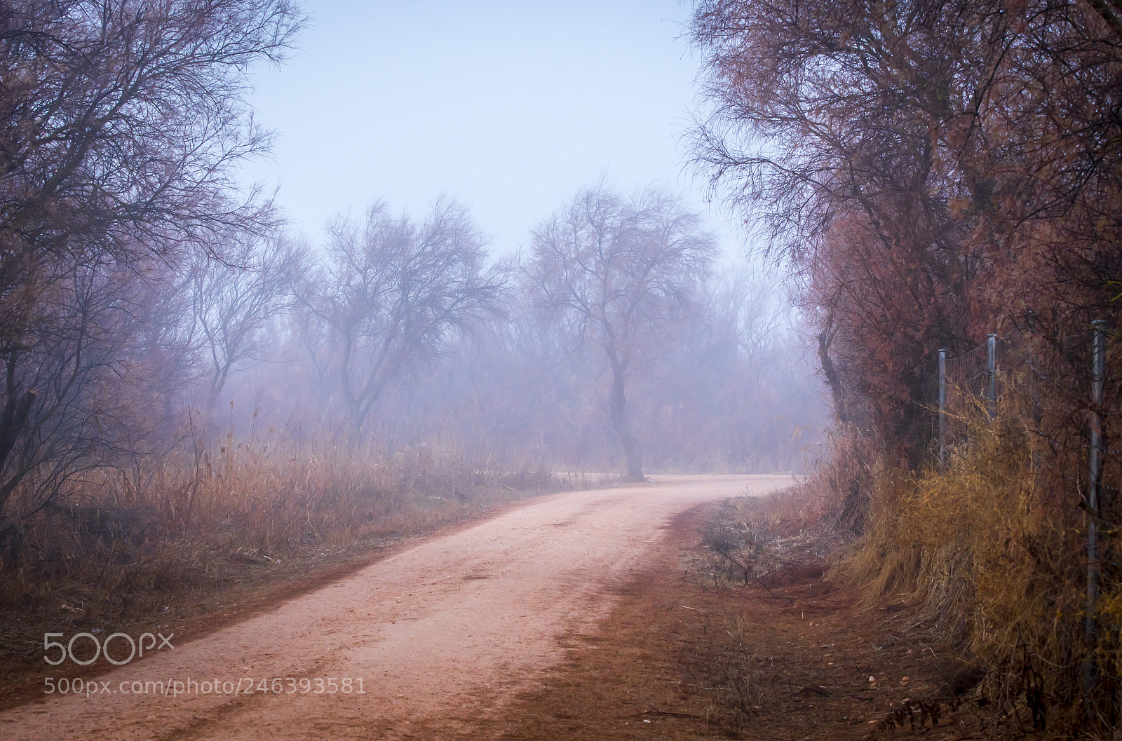 Nikon D500 sample photo. Camino hacia la niebla. photography