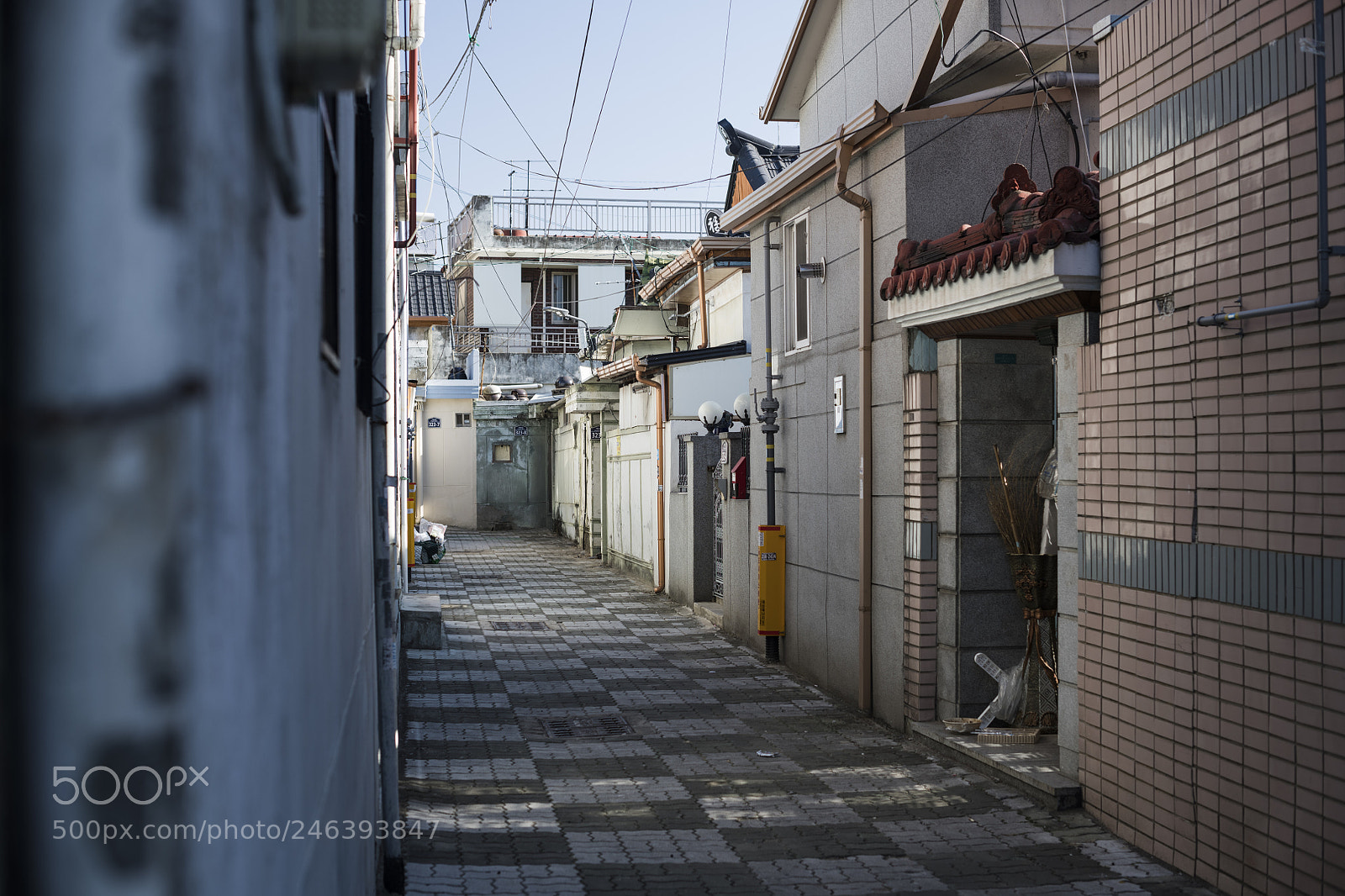Nikon D850 sample photo. Untitled photography