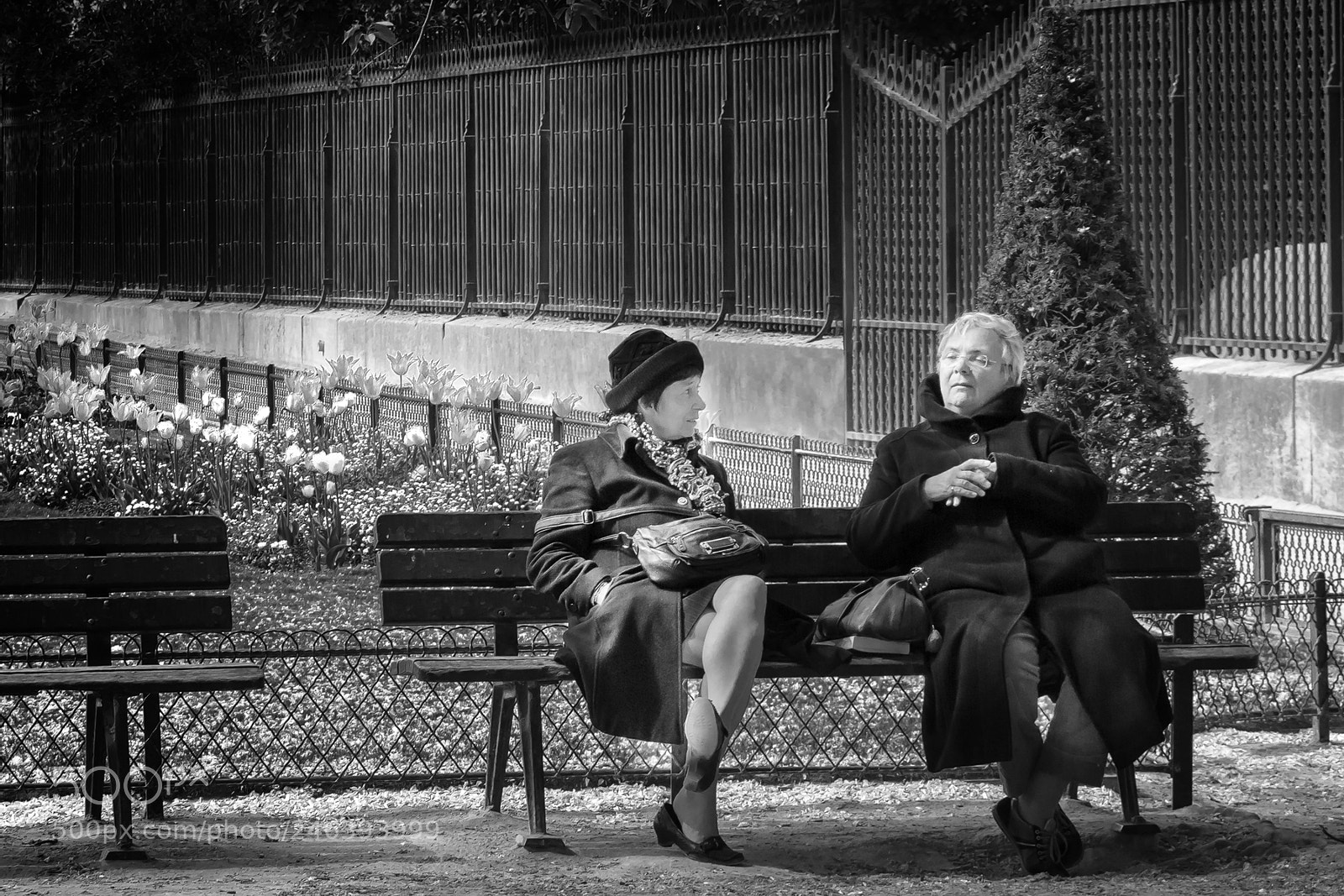 Canon EOS 60D sample photo. Chat in the park photography