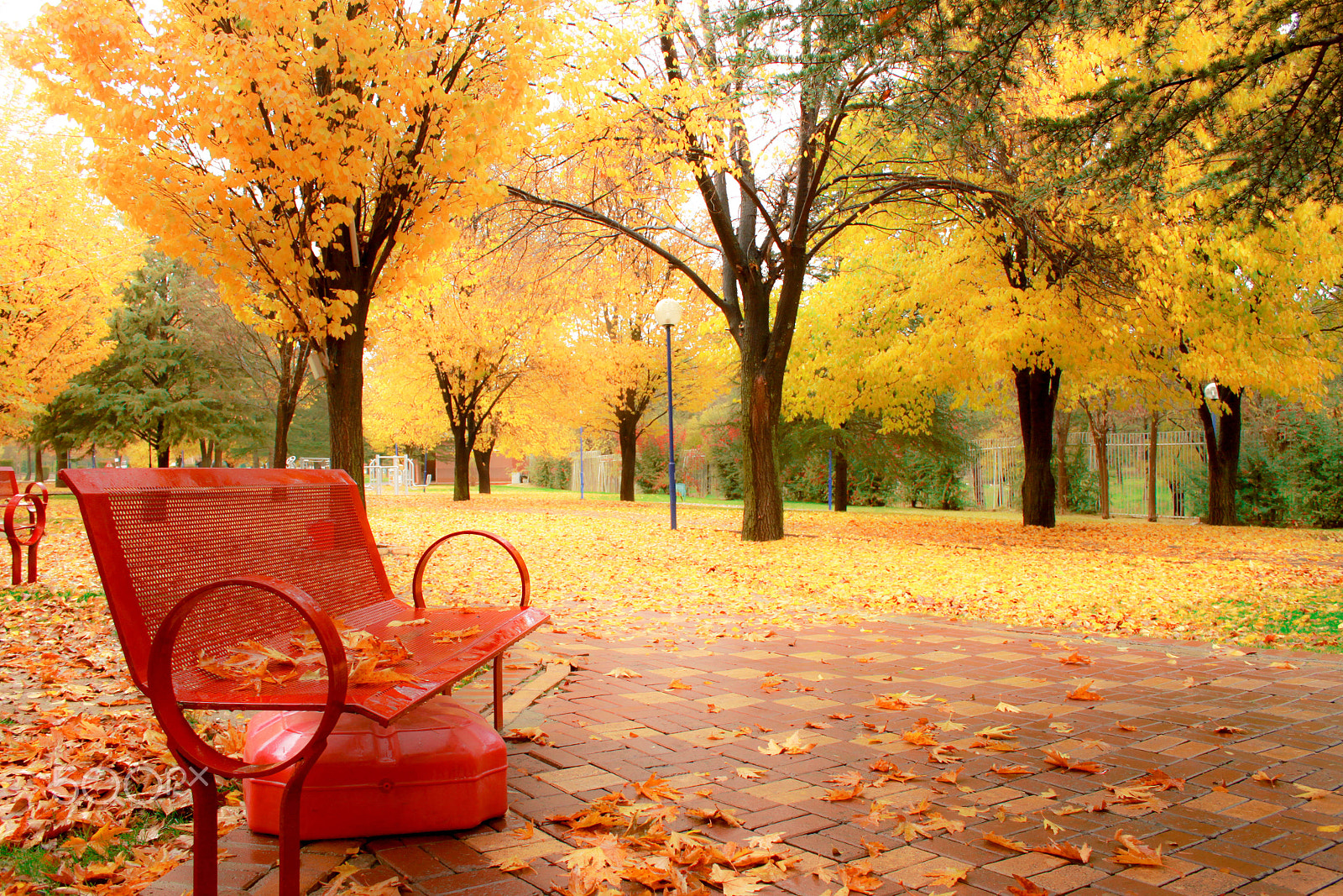 Canon EOS 500D (EOS Rebel T1i / EOS Kiss X3) sample photo. An autumn sadness... photography