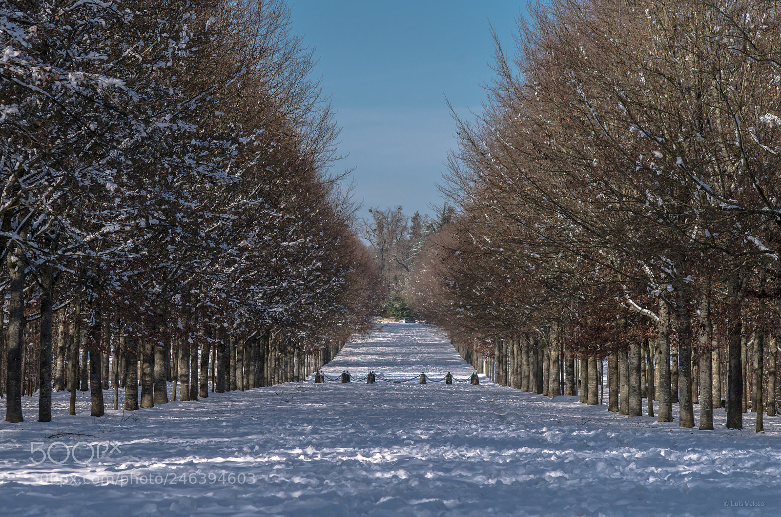 Pentax K-30 sample photo. Snow path photography