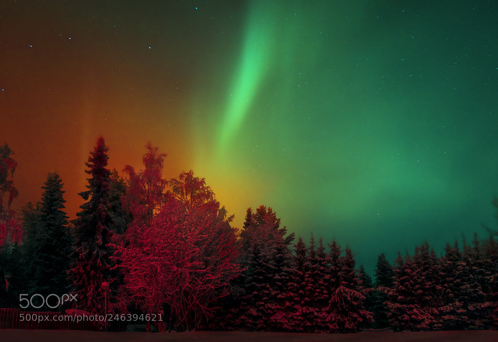 Pentax K-30 sample photo. Red and green aurora photography