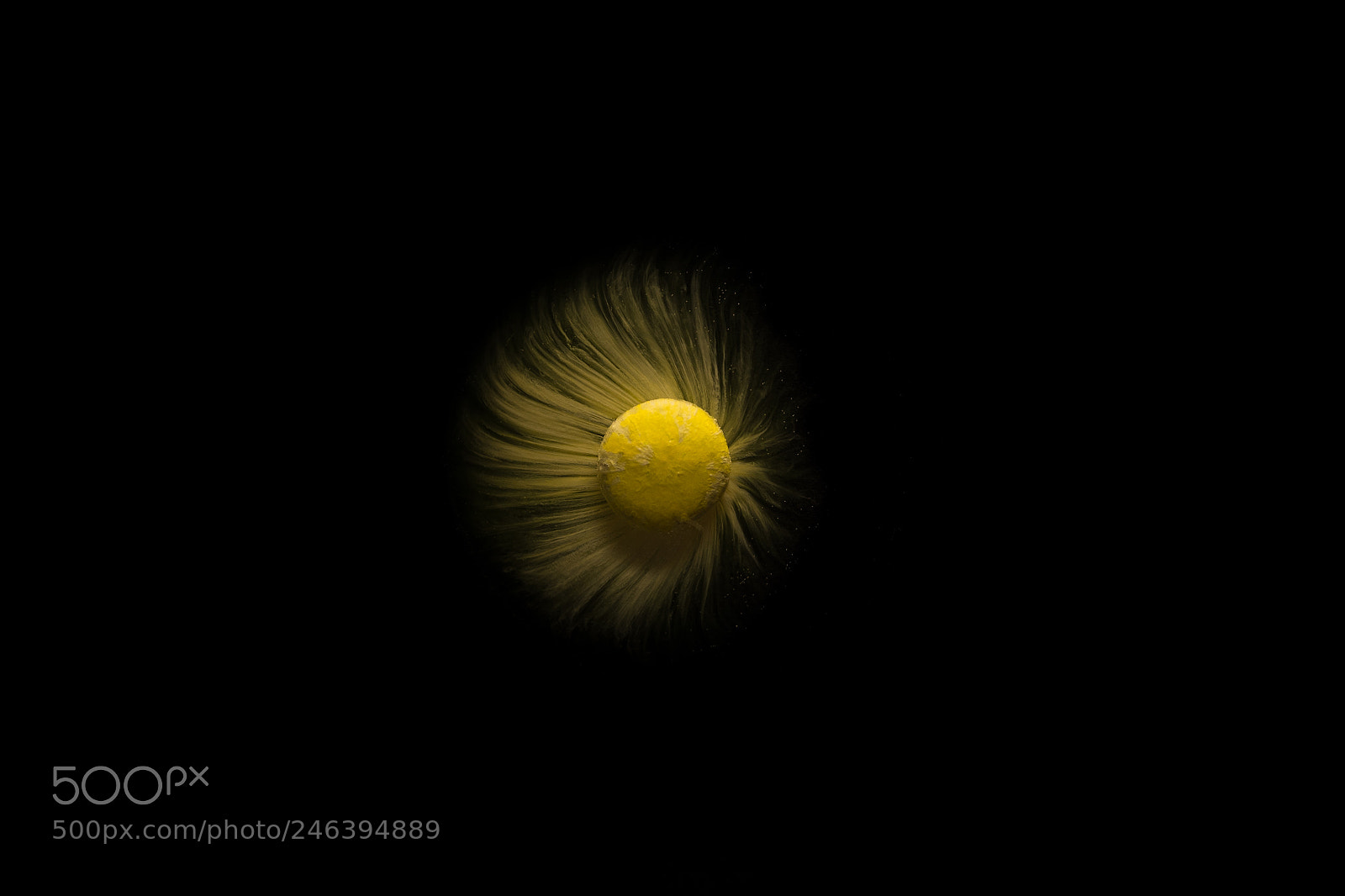 Nikon D5200 sample photo. Gelb / yellow photography