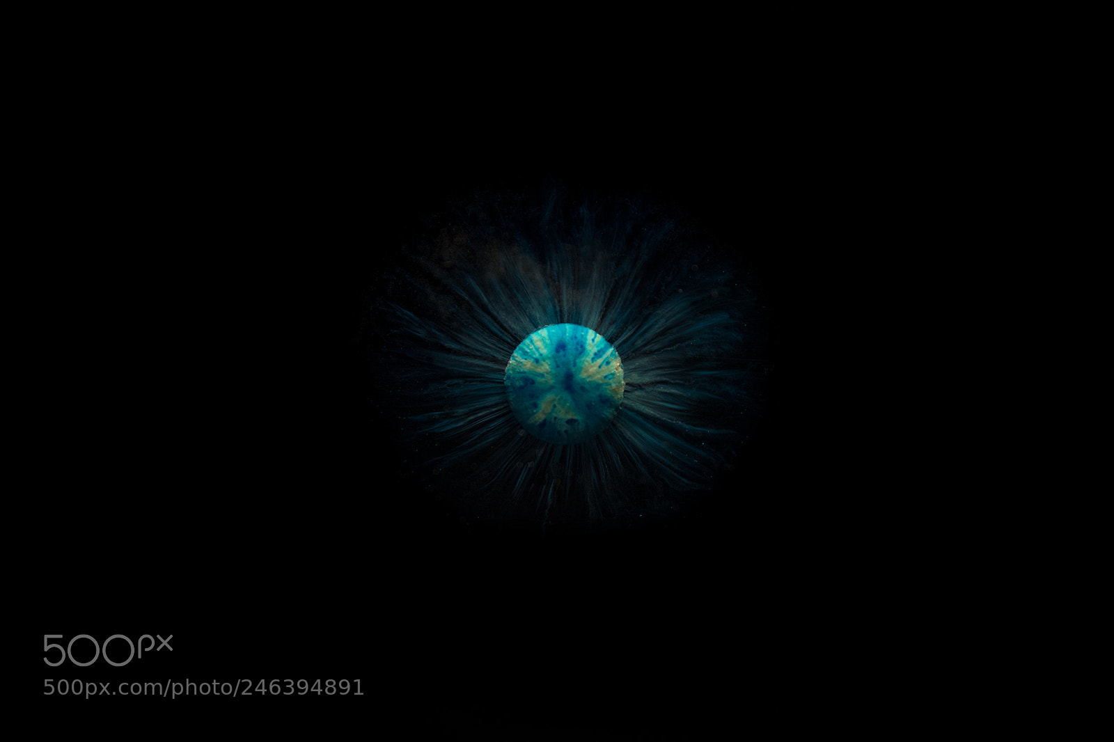 Nikon D5200 sample photo. Blau / blue photography