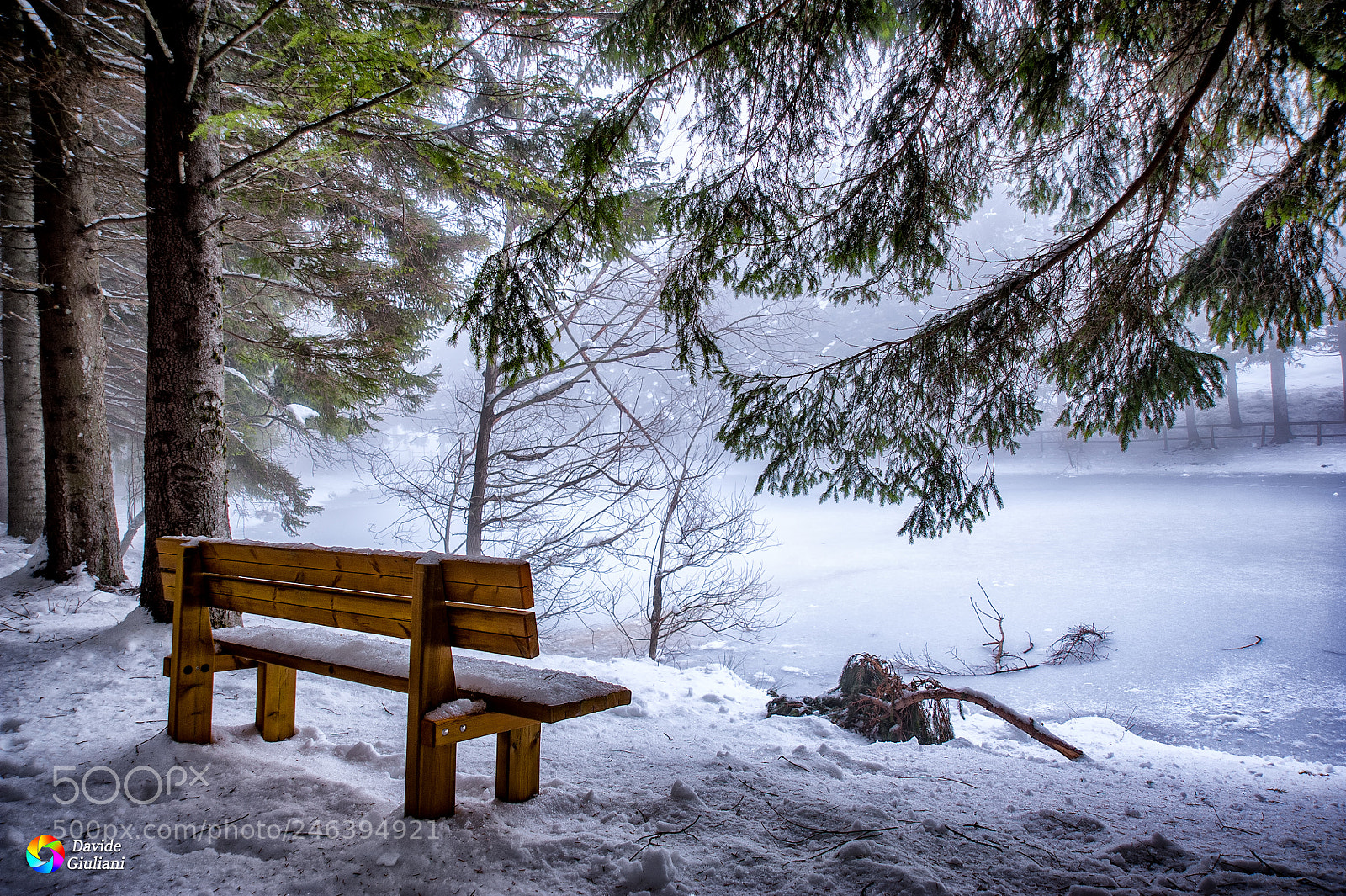 Nikon D700 sample photo. Snow view photography