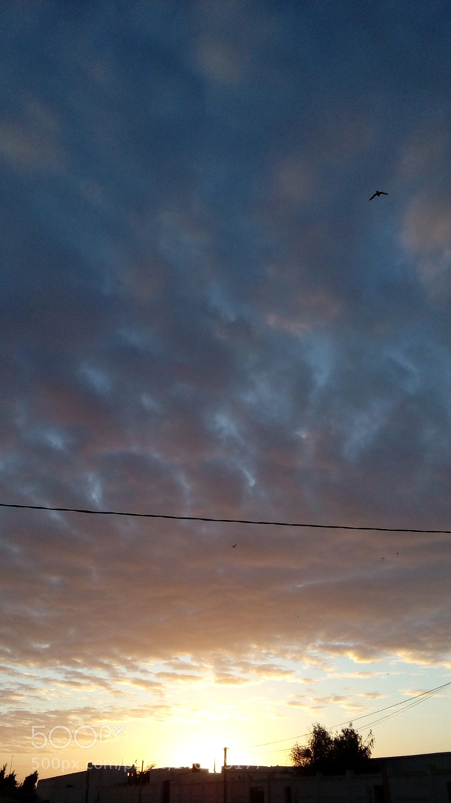 HUAWEI Y5II sample photo. Untitled photography