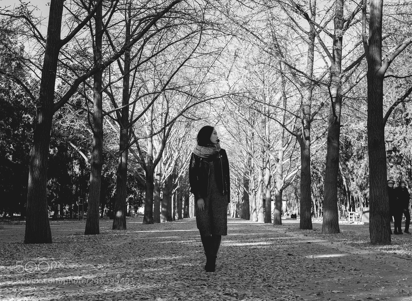 Canon EOS 7D sample photo. Autumn park photography