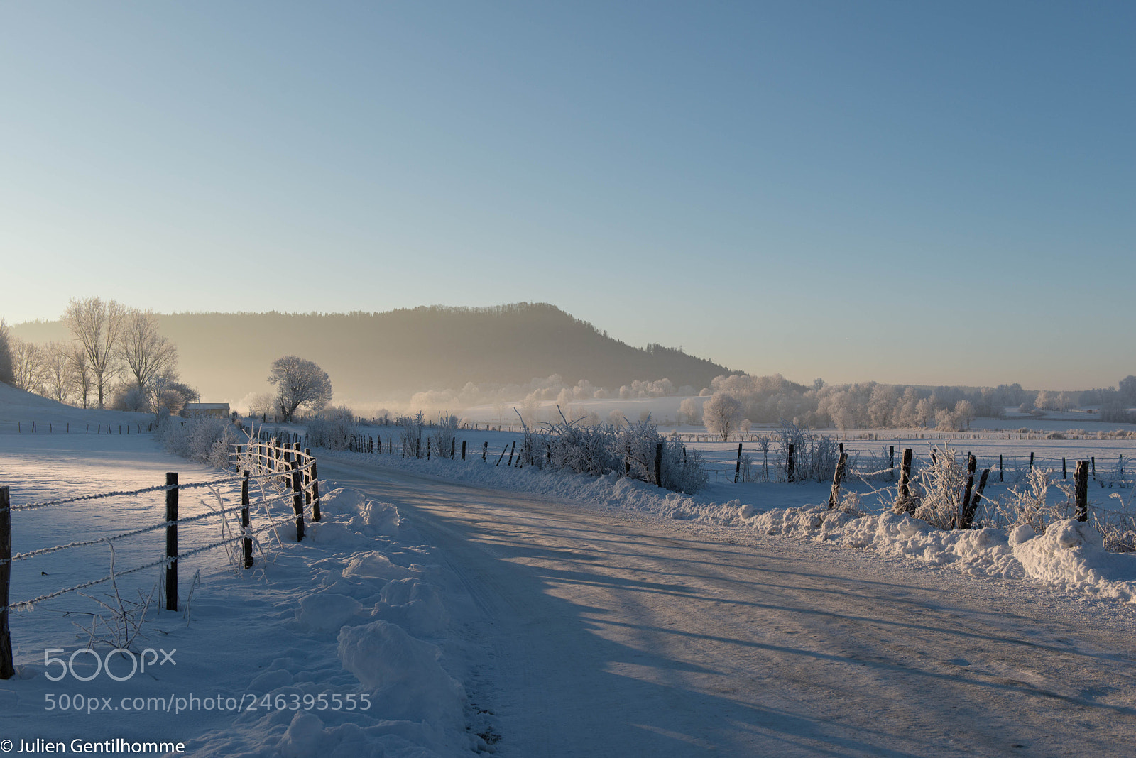 Nikon D800 sample photo. Snow photography