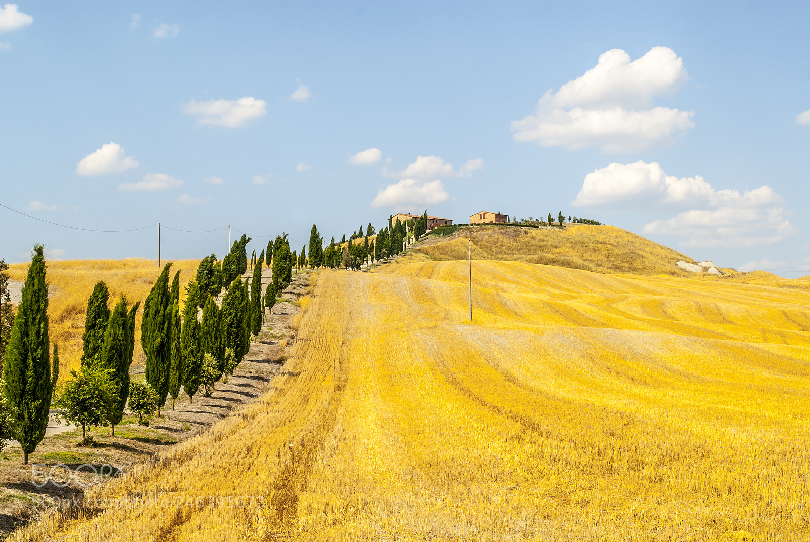 Nikon D200 sample photo. Crete senesi, characteristic landscape photography