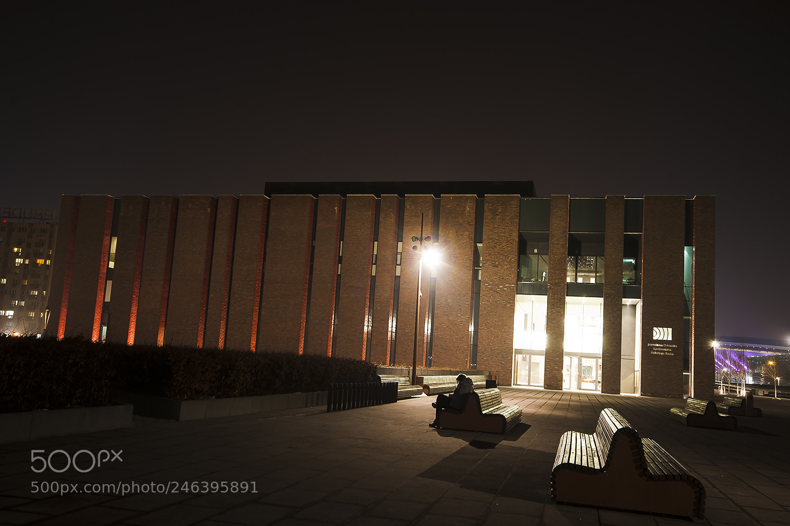 Nikon D300S sample photo. The national symphony orchestra photography