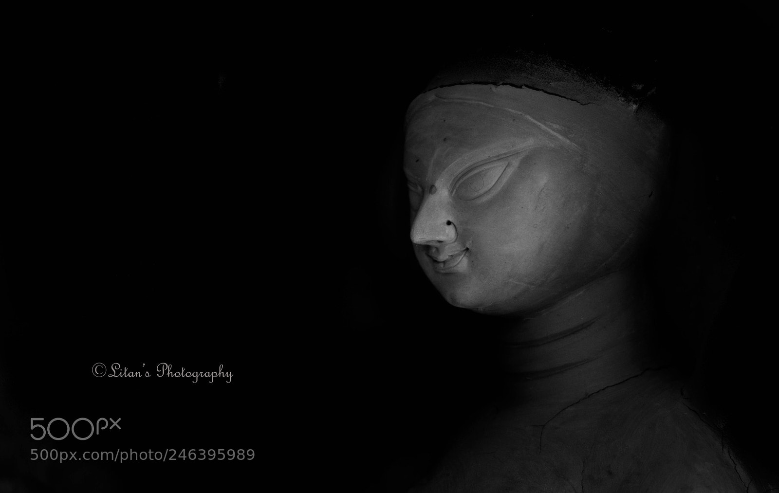 Nikon D7100 sample photo. Untitled photography